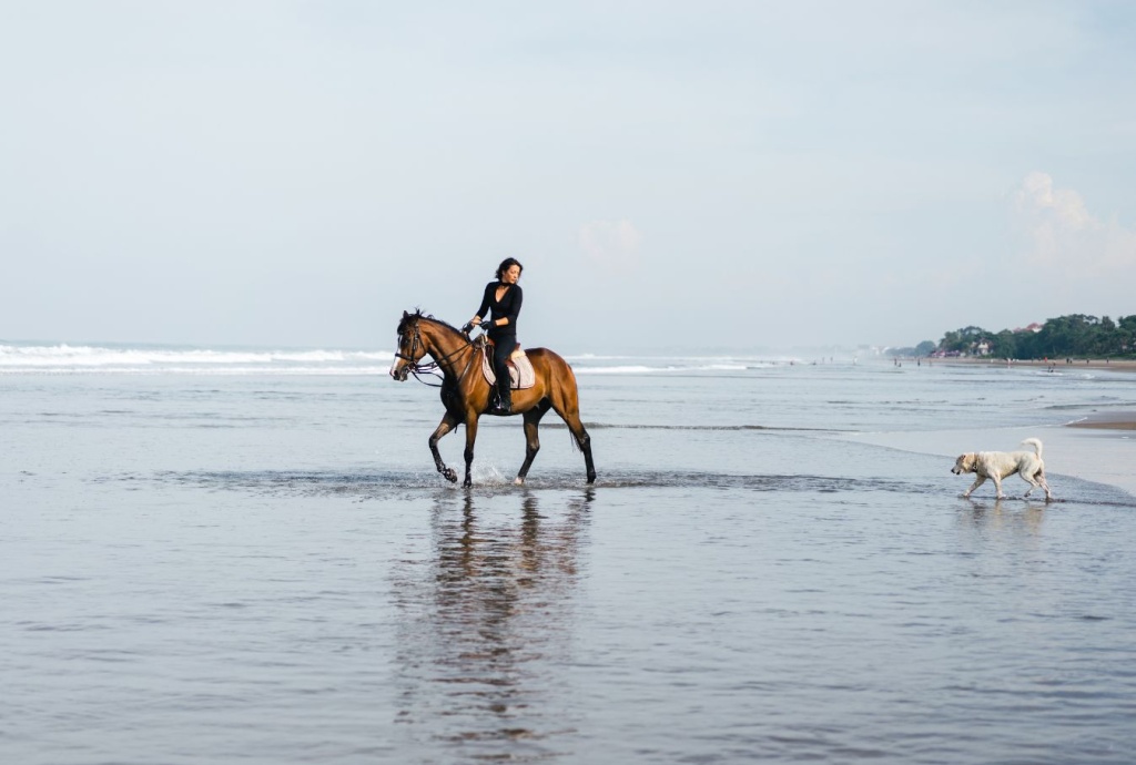 bali-home-immo-discover-calm-moments-through-horse-riding-on-kedungu-beach