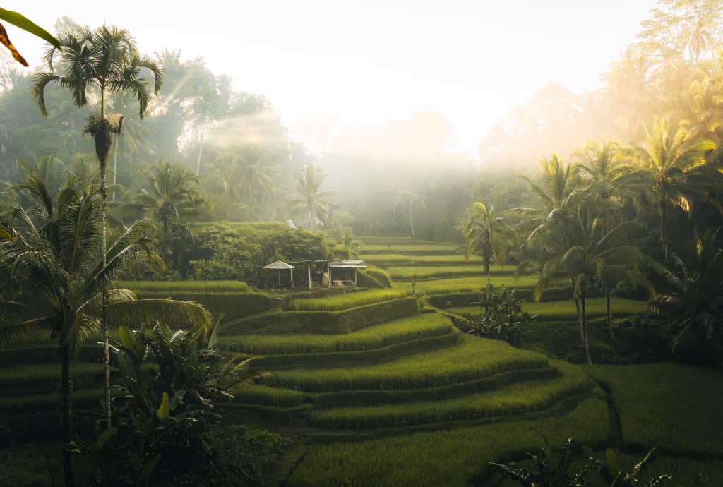 bali-home-immo-the-ubud-luxury-manifesto