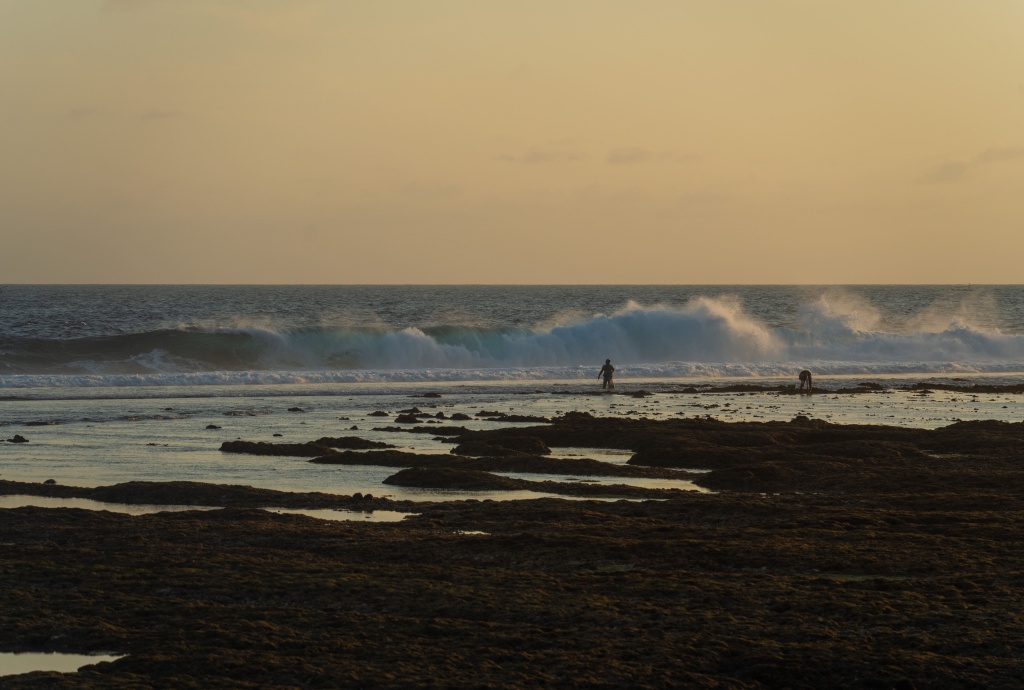 bali-home-immo-where-foreign-investors-are-buying-villas-in-bali-in-2026