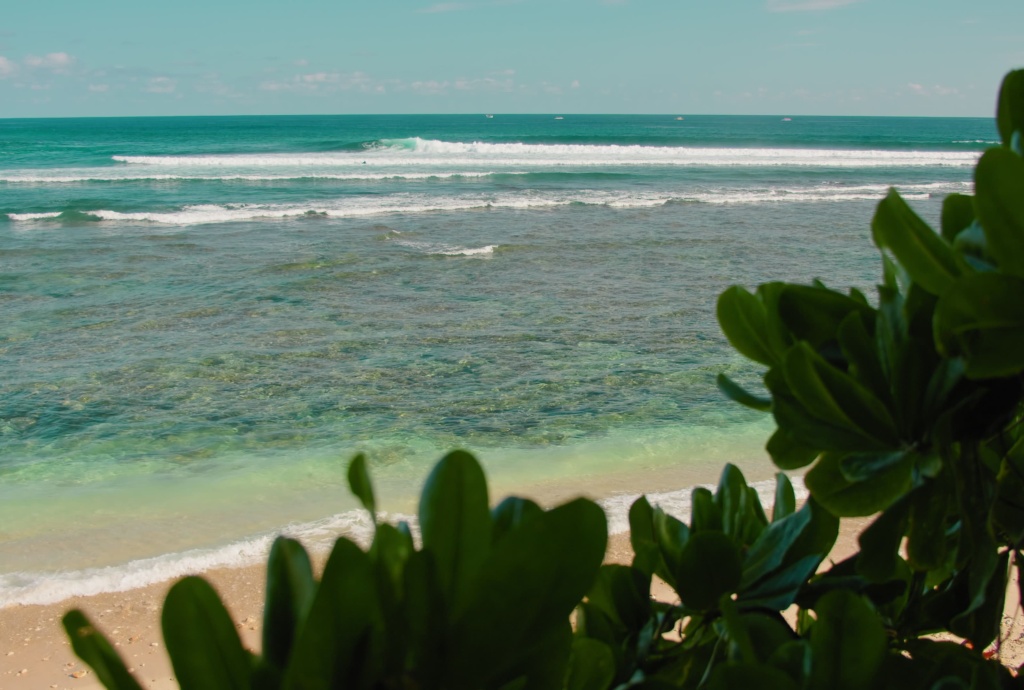 bali-home-immo-is-buying-property-in-berawa-a-smart-investment-in-2026