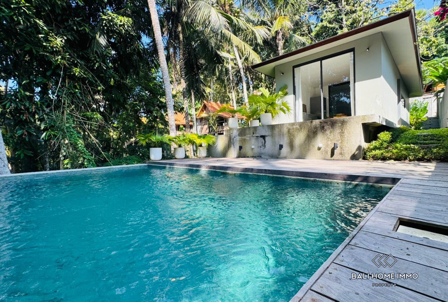 1 BEDROOM JUNGLE VIEW VILLA FOR RENT IN UBUD view 2