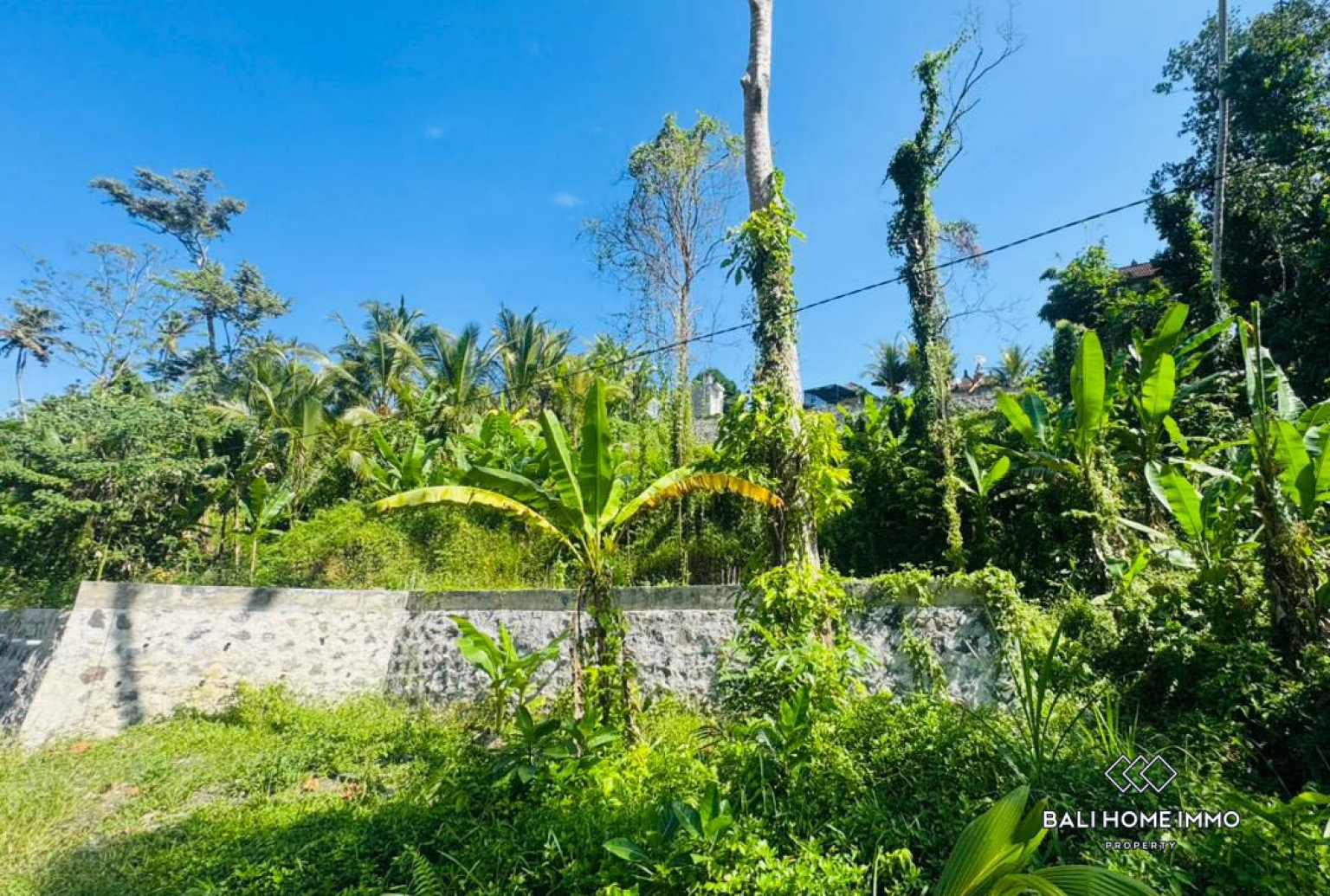 10 ARE LAND WITH RIVER AND JUNGLE VIEW FOR SALE IN UBUD view 7