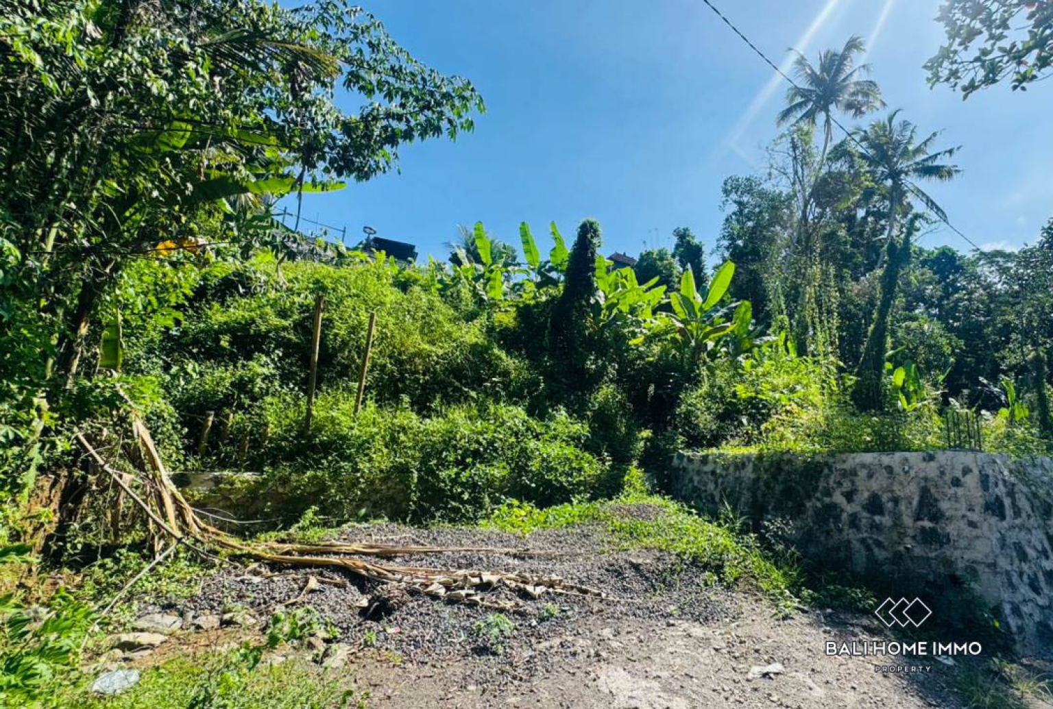 10 ARE LAND WITH RIVER AND JUNGLE VIEW FOR SALE IN UBUD view 9
