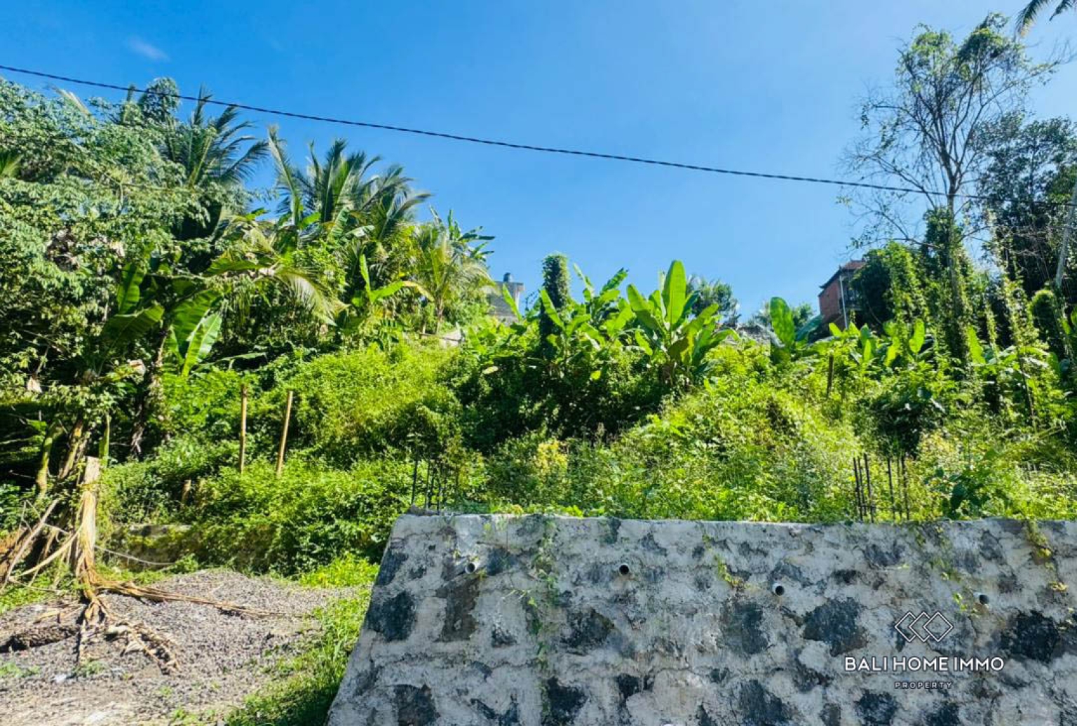 10 ARE LAND WITH RIVER AND JUNGLE VIEW FOR SALE IN UBUD view 8
