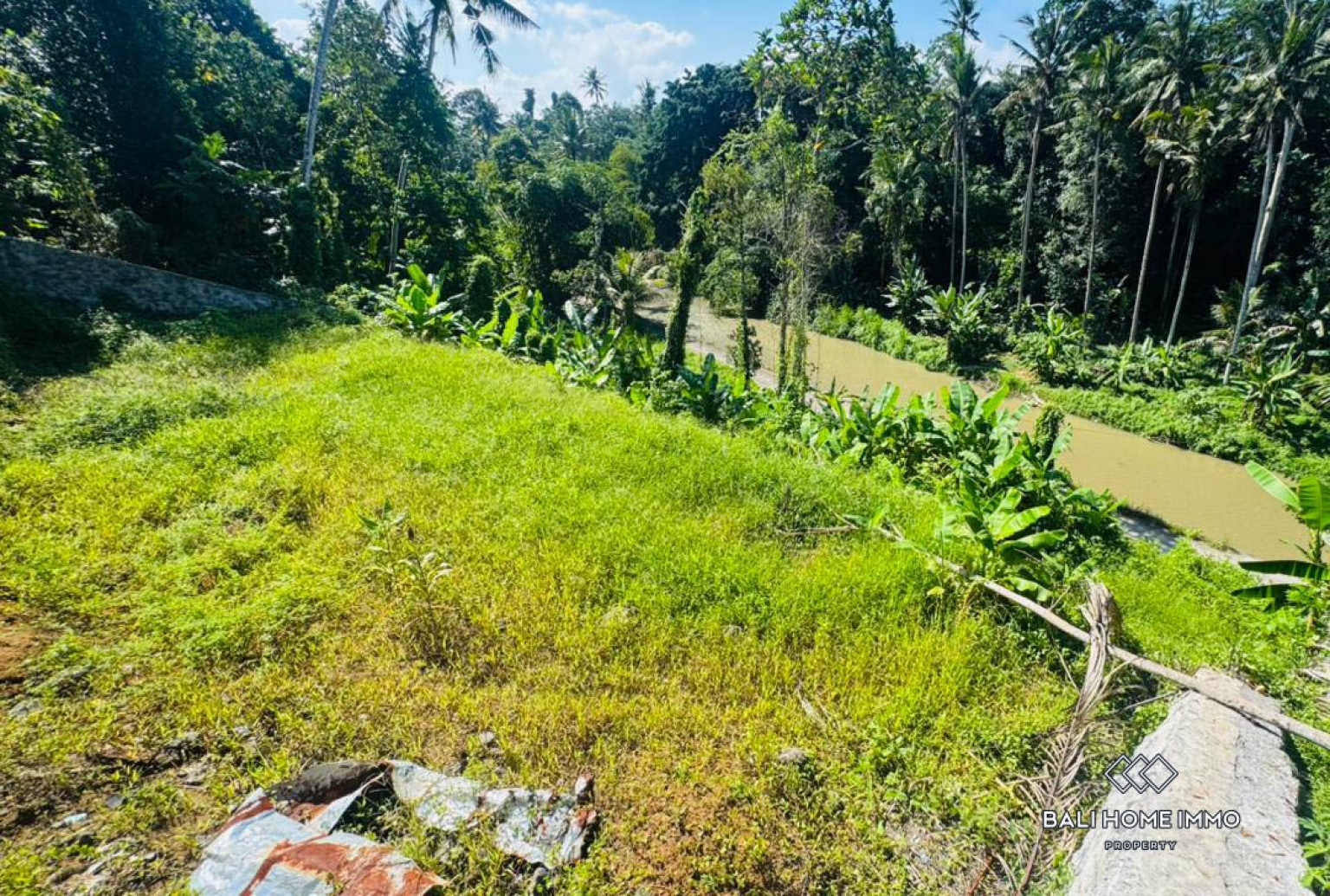 10 ARE LAND WITH RIVER AND JUNGLE VIEW FOR SALE IN UBUD view 4