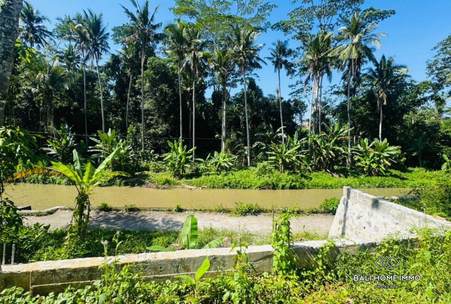 10 ARE LAND WITH RIVER AND JUNGLE VIEW FOR SALE IN UBUD view 2