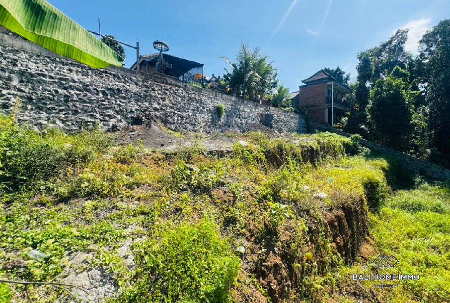 10 ARE LAND WITH RIVER AND JUNGLE VIEW FOR SALE IN UBUD view 6