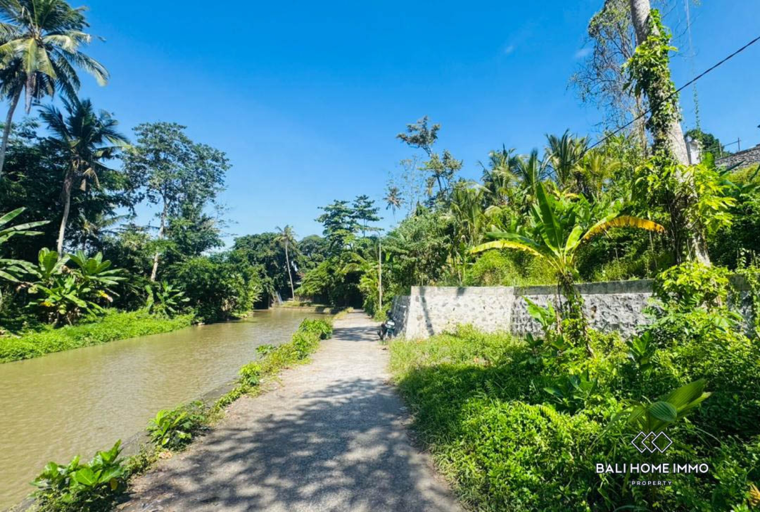 10 ARE LAND WITH RIVER AND JUNGLE VIEW FOR SALE IN UBUD view 10