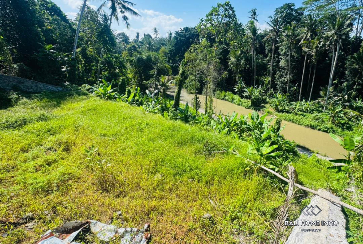 10 ARE LAND WITH RIVER AND JUNGLE VIEW FOR SALE IN UBUD view 5