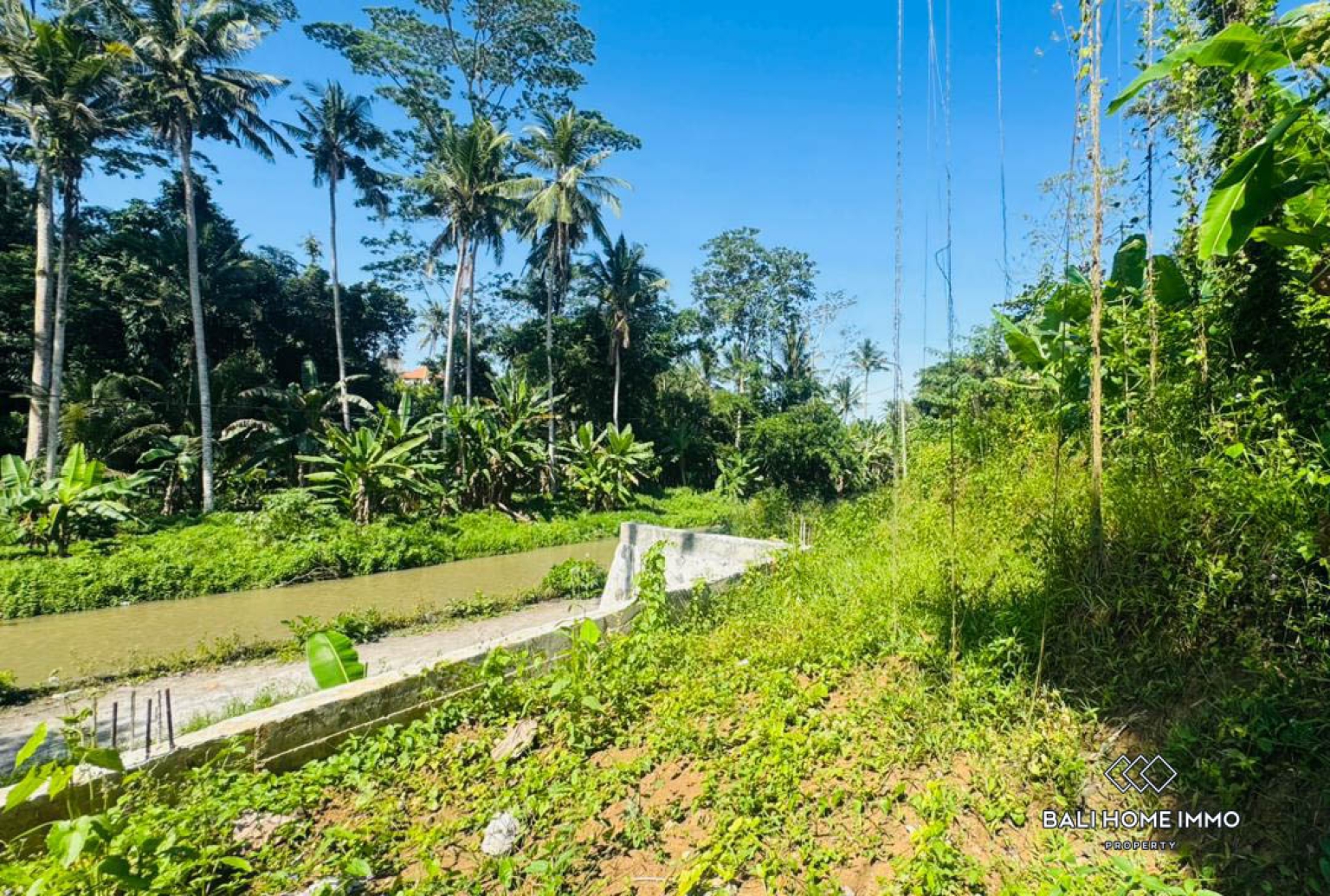 10 ARE LAND WITH RIVER AND JUNGLE VIEW FOR SALE IN UBUD view 3