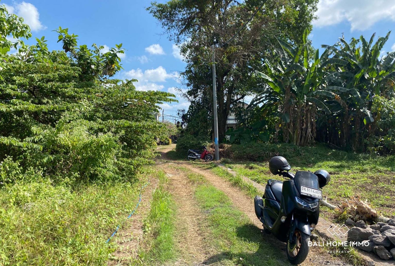 1000 m² LAND FOR SALE LEASEHOLD IN TABANAN BALI view 6