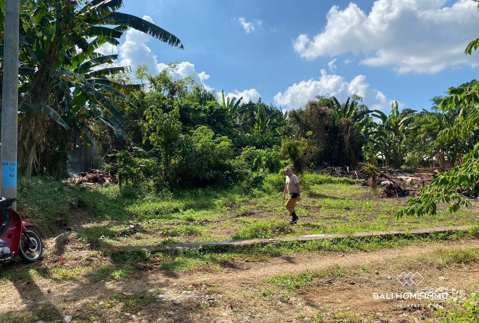 1000 m² LAND FOR SALE LEASEHOLD IN TABANAN BALI view 5