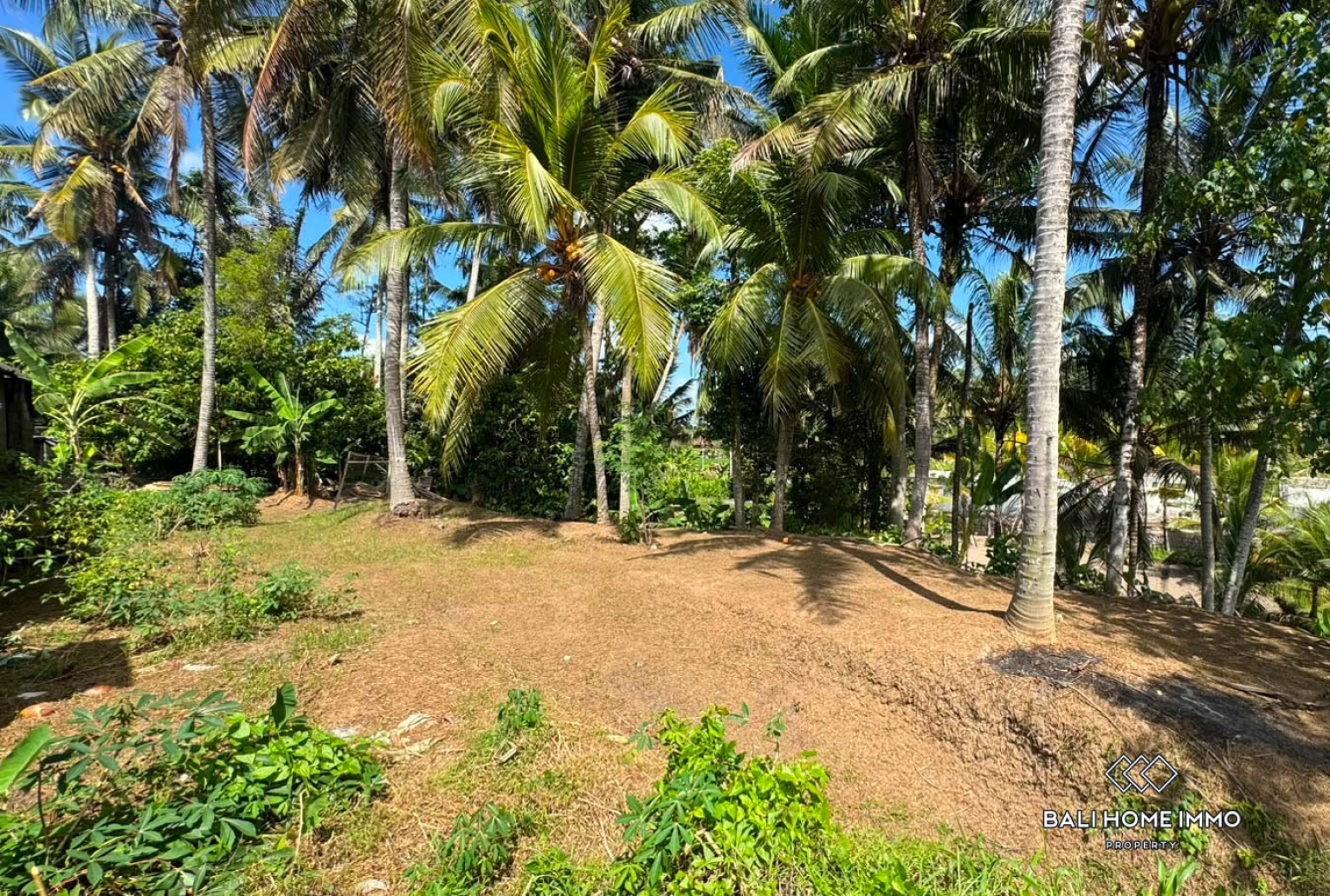 1050 m² land for sale in Ubud view 2