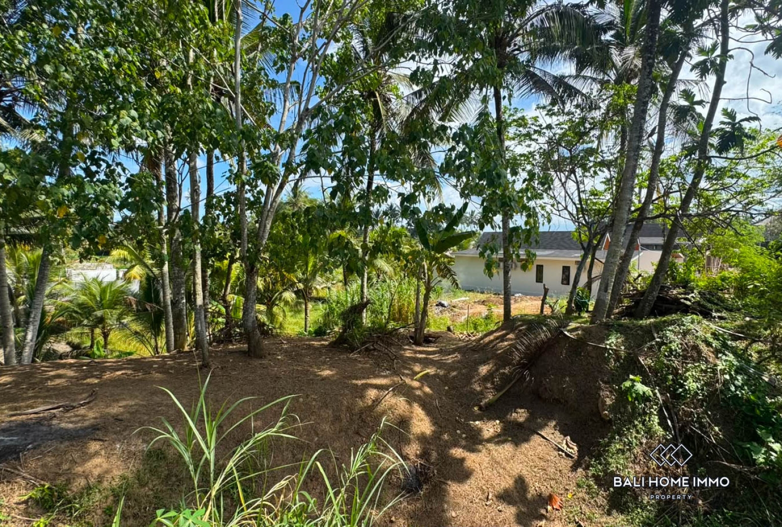 1050 m² land for sale in Ubud view 7