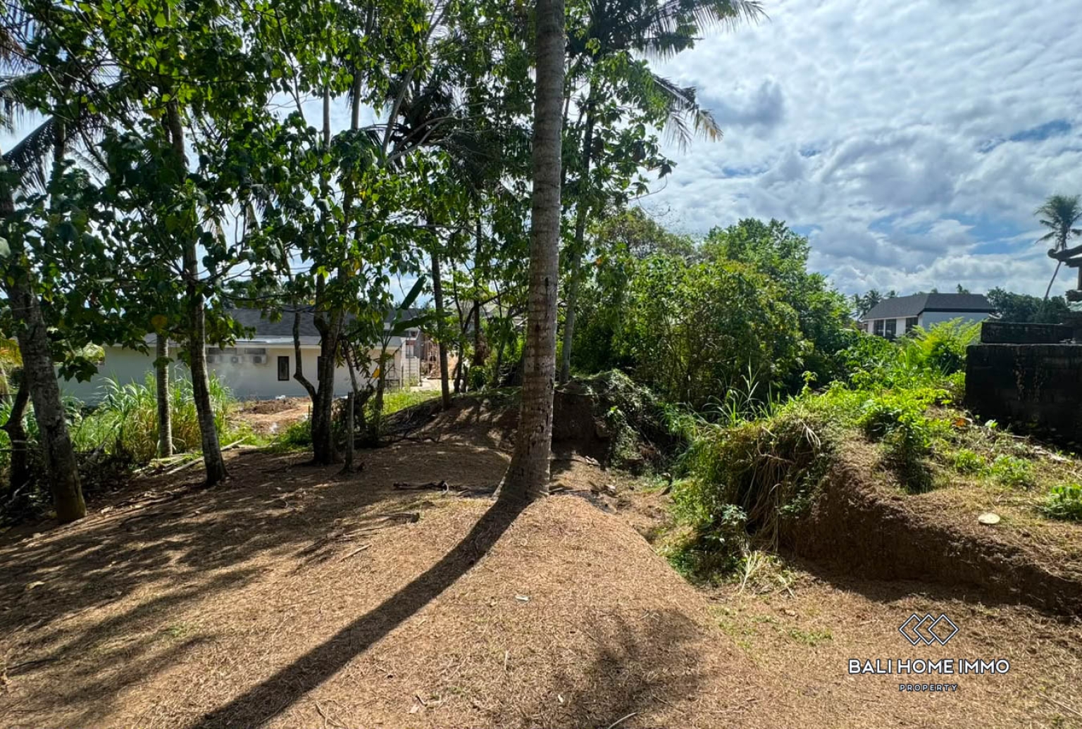 1050 m² land for sale in Ubud view 5