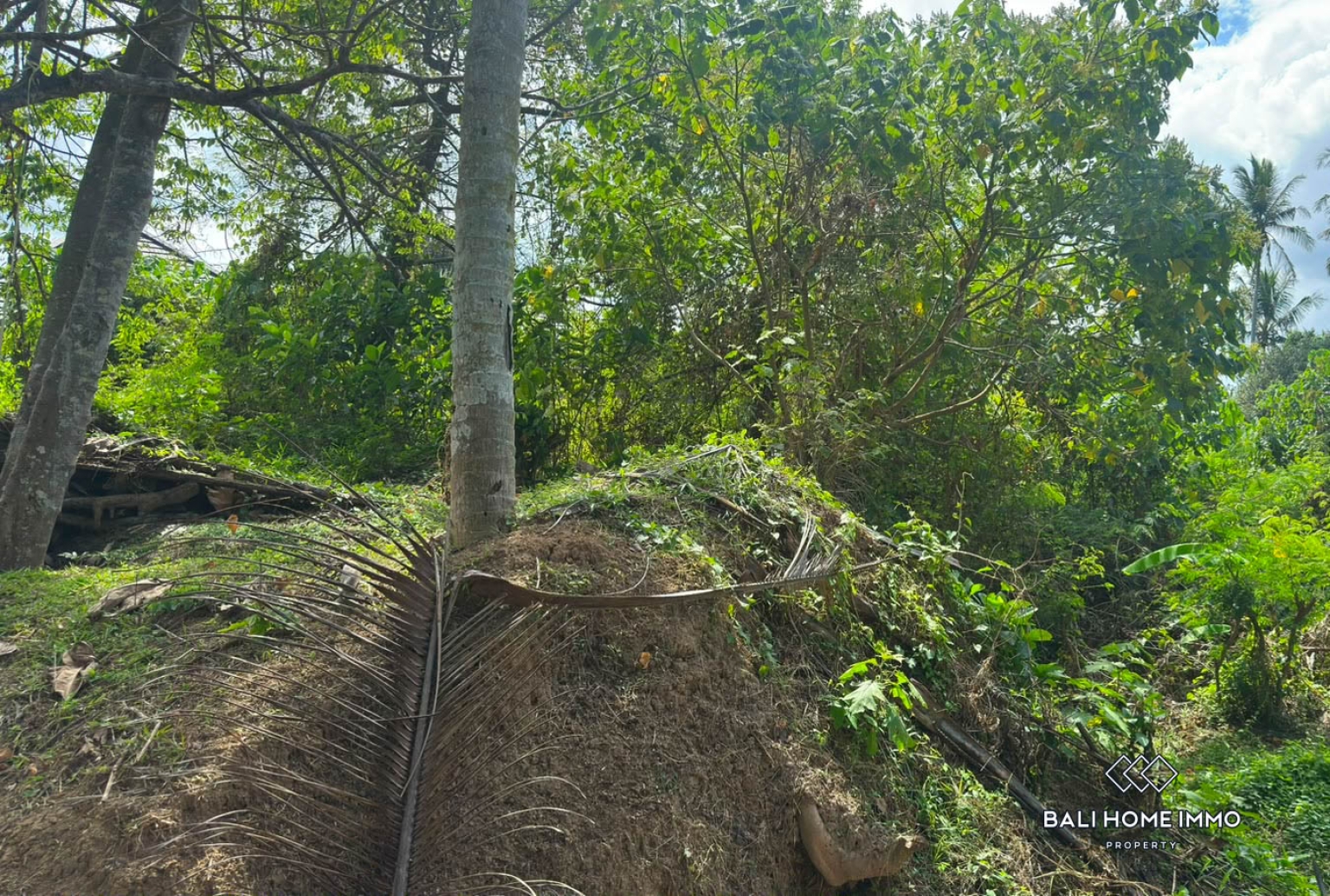 1050 m² land for sale in Ubud view 8