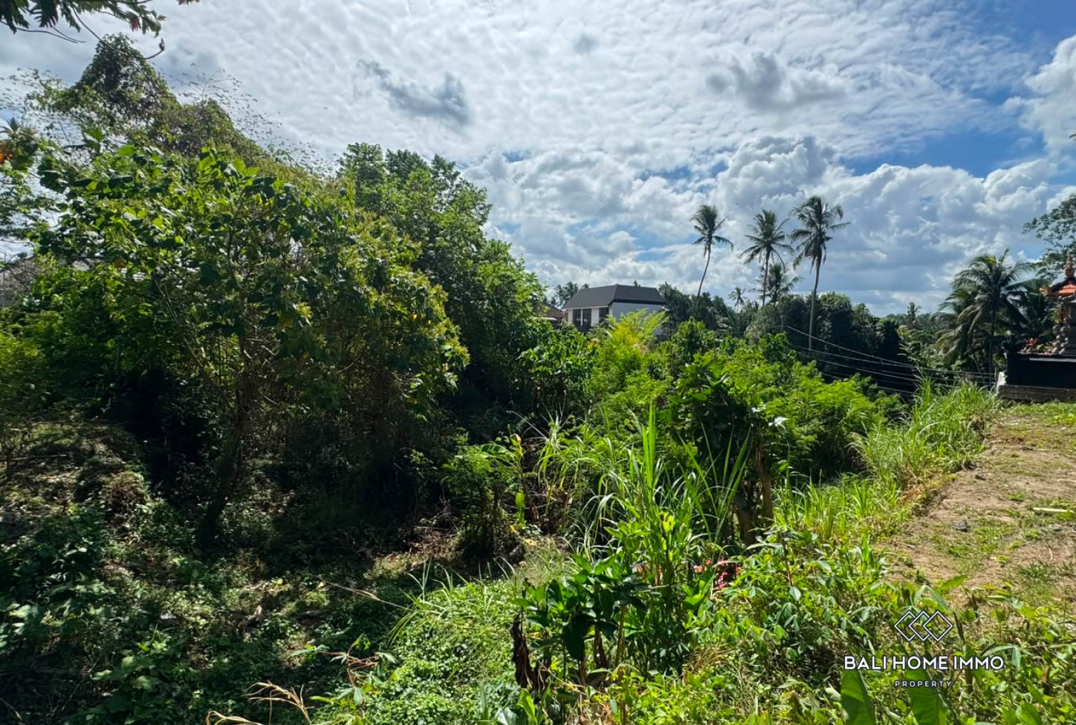 1050 m² land for sale in Ubud view 10