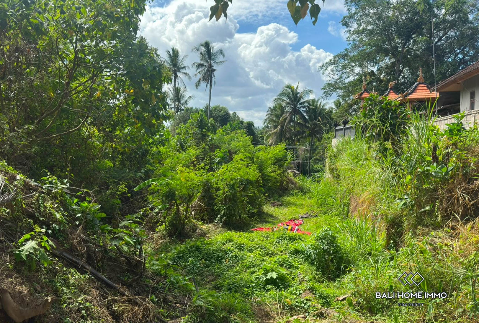1050 m² land for sale in Ubud view 9
