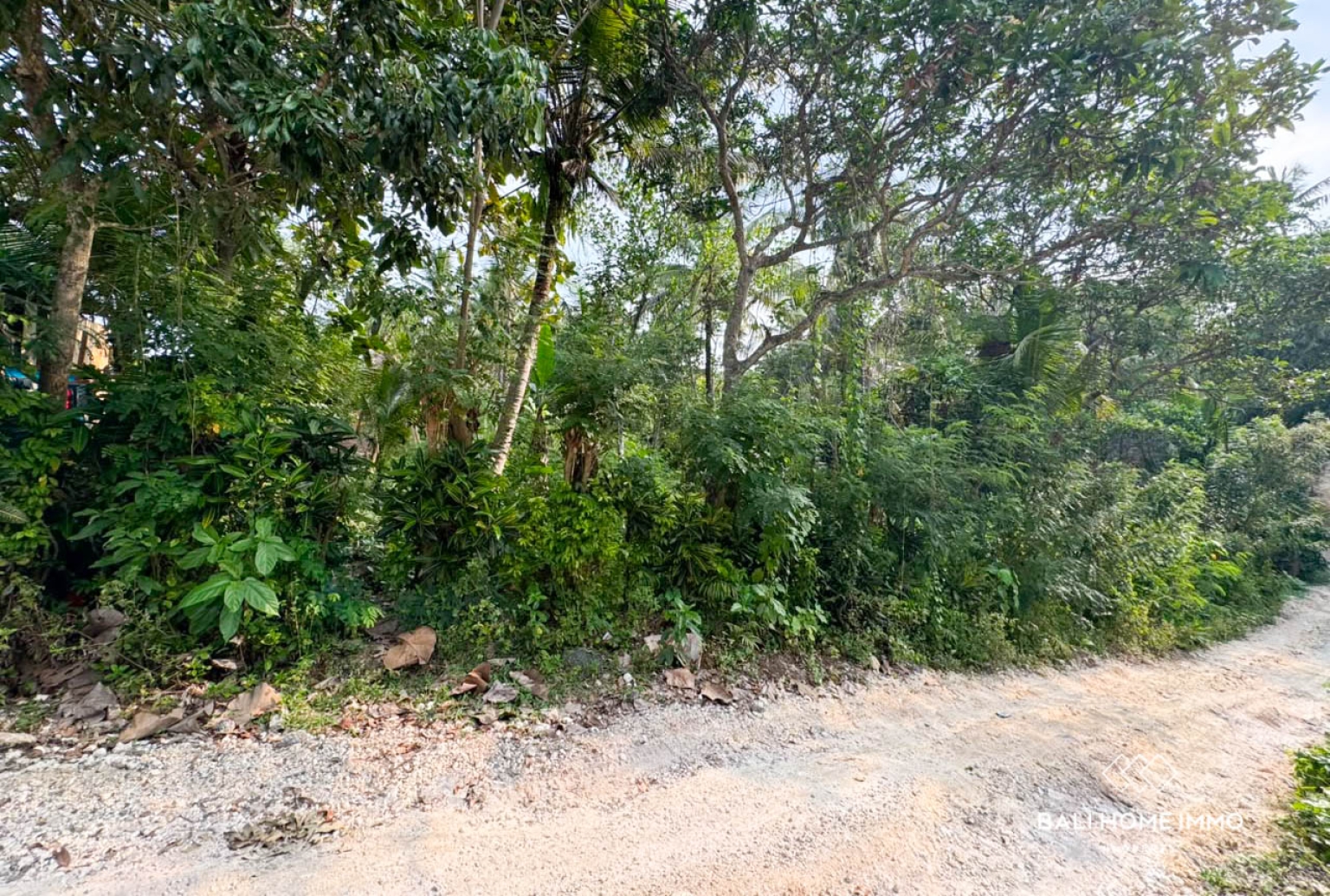 13.5 Are Land for Sale in Balian Beach – Prime Pink Zone Location, Walk to the Beach view 2