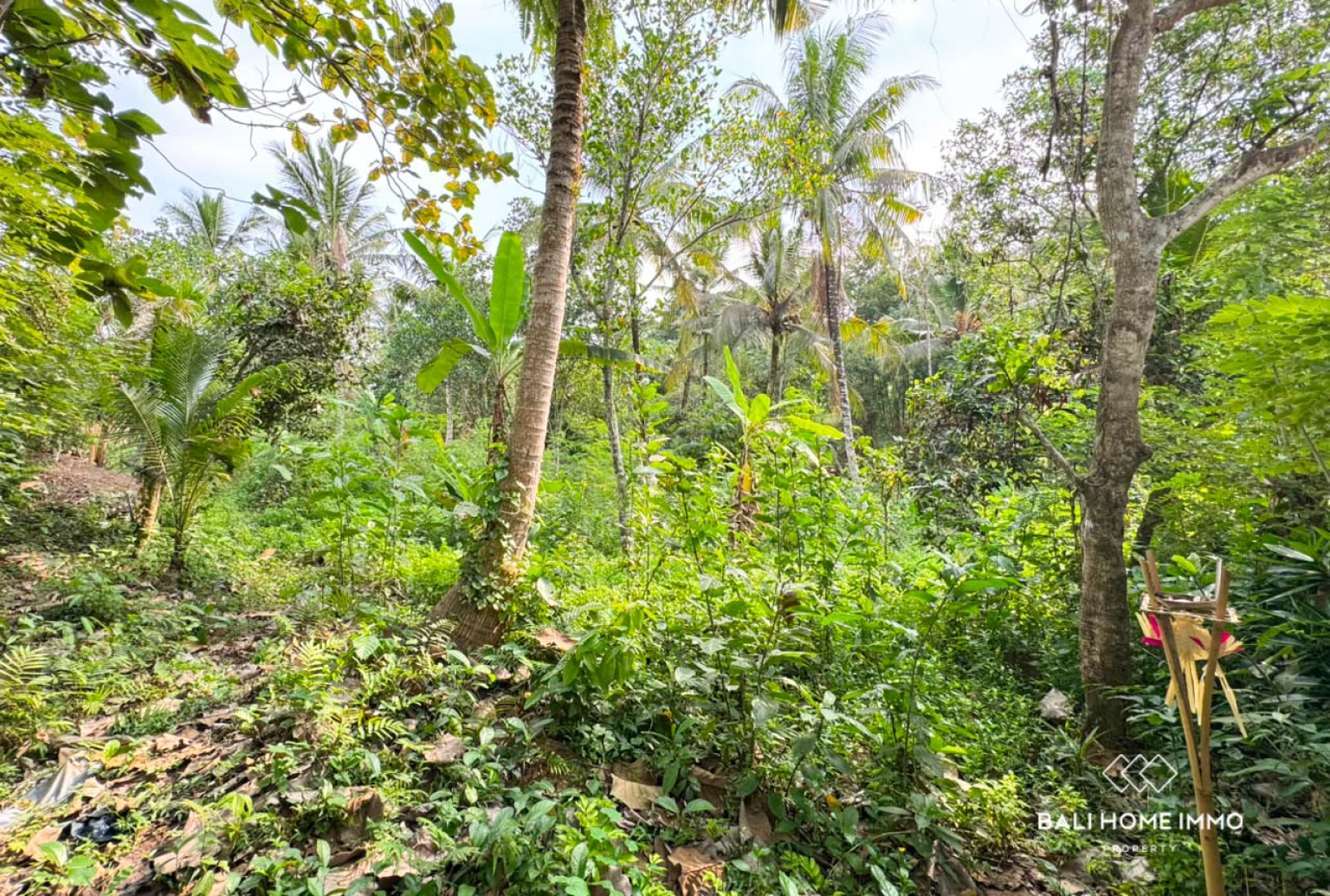 13.5 Are Land for Sale in Balian Beach – Prime Pink Zone Location, Walk to the Beach view 3