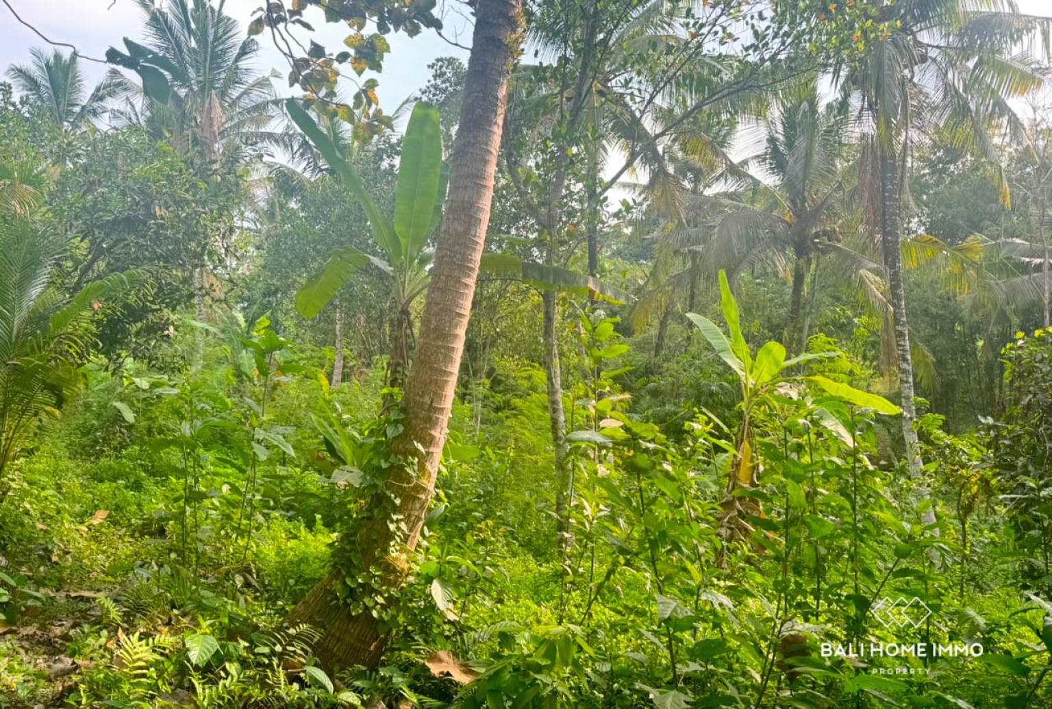 13.5 Are Land for Sale in Balian Beach – Prime Pink Zone Location, Walk to the Beach view 4
