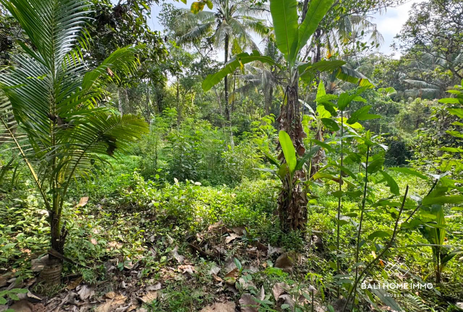 13.5 Are Land for Sale in Balian Beach – Prime Pink Zone Location, Walk to the Beach view 5