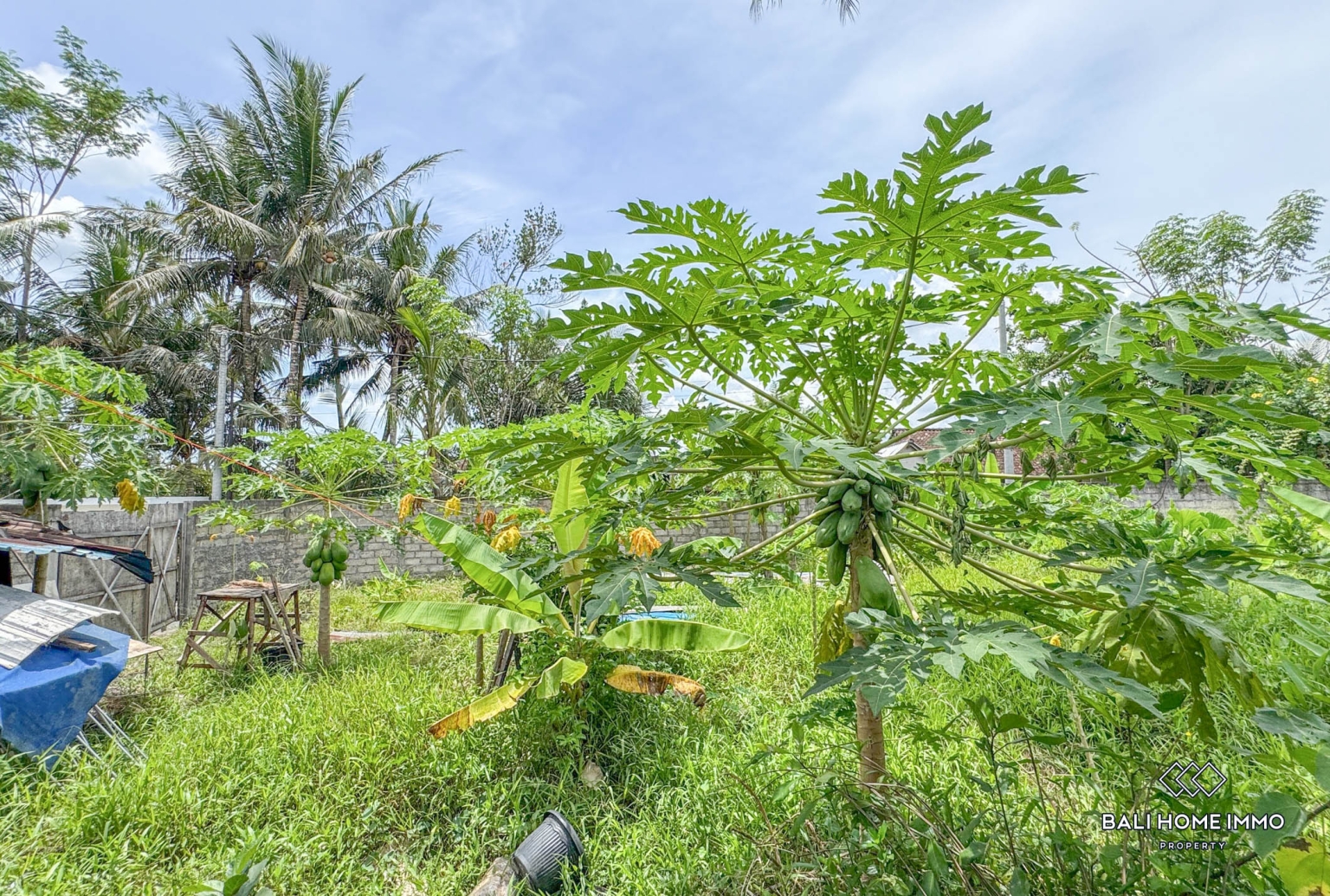 3 bedroom villa + 375 m² land for sale in Ubud view 25