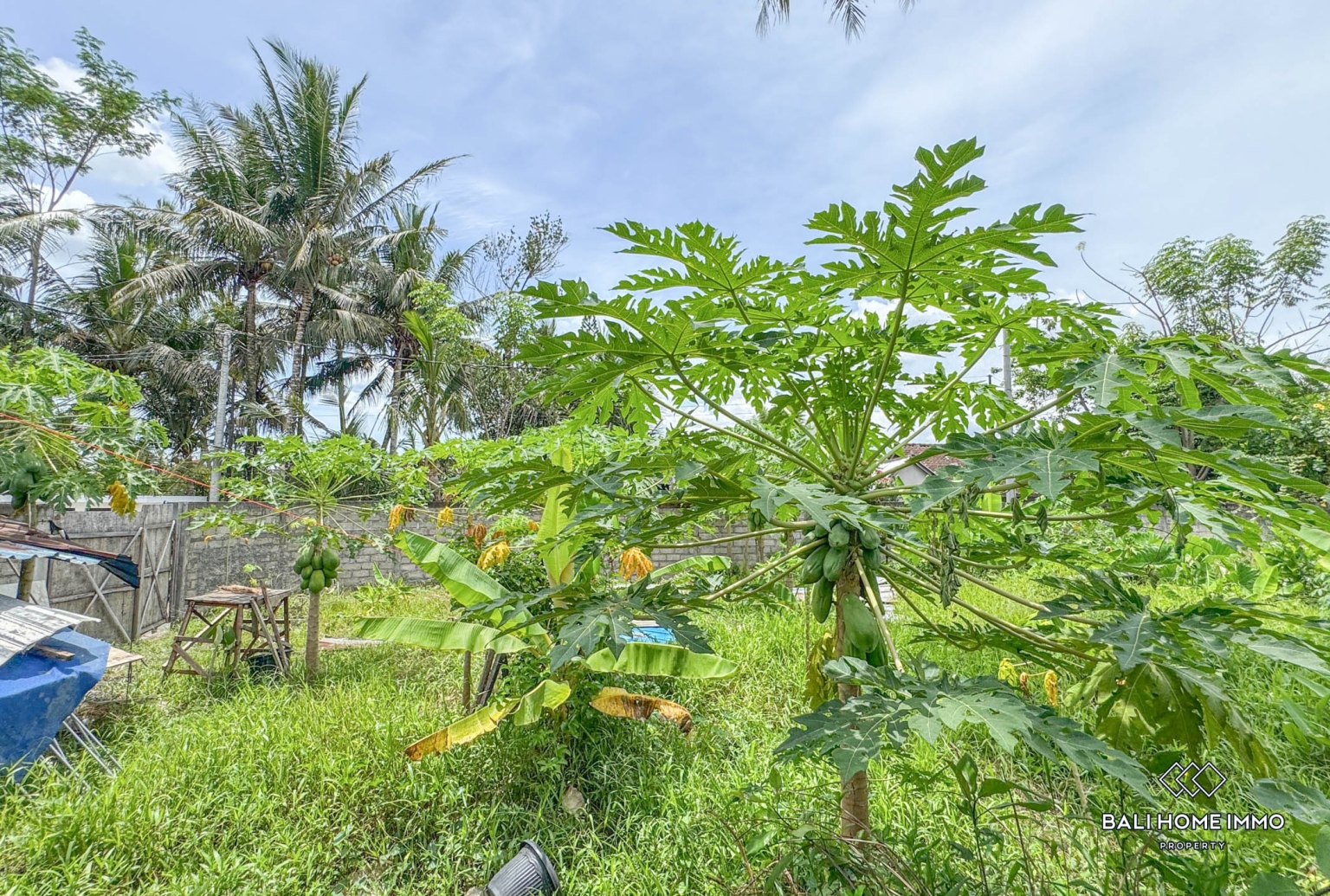 3 bedroom villa + 375 m² land for sale in Ubud view 24