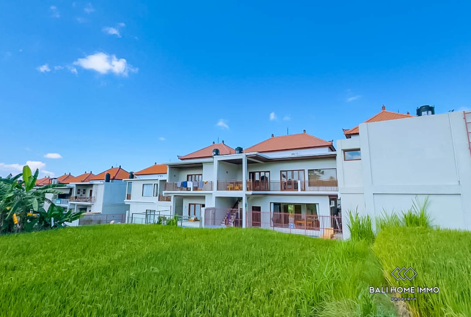 2 bedroom villa with ricefield view for sale in Ubud view 19