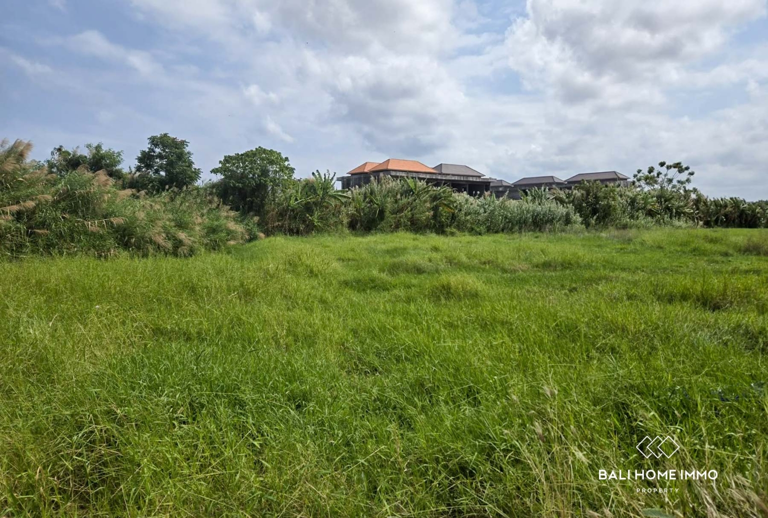 2000 M2 Land FOR LEASEHOLD SALE in Seminyak BALI view 3