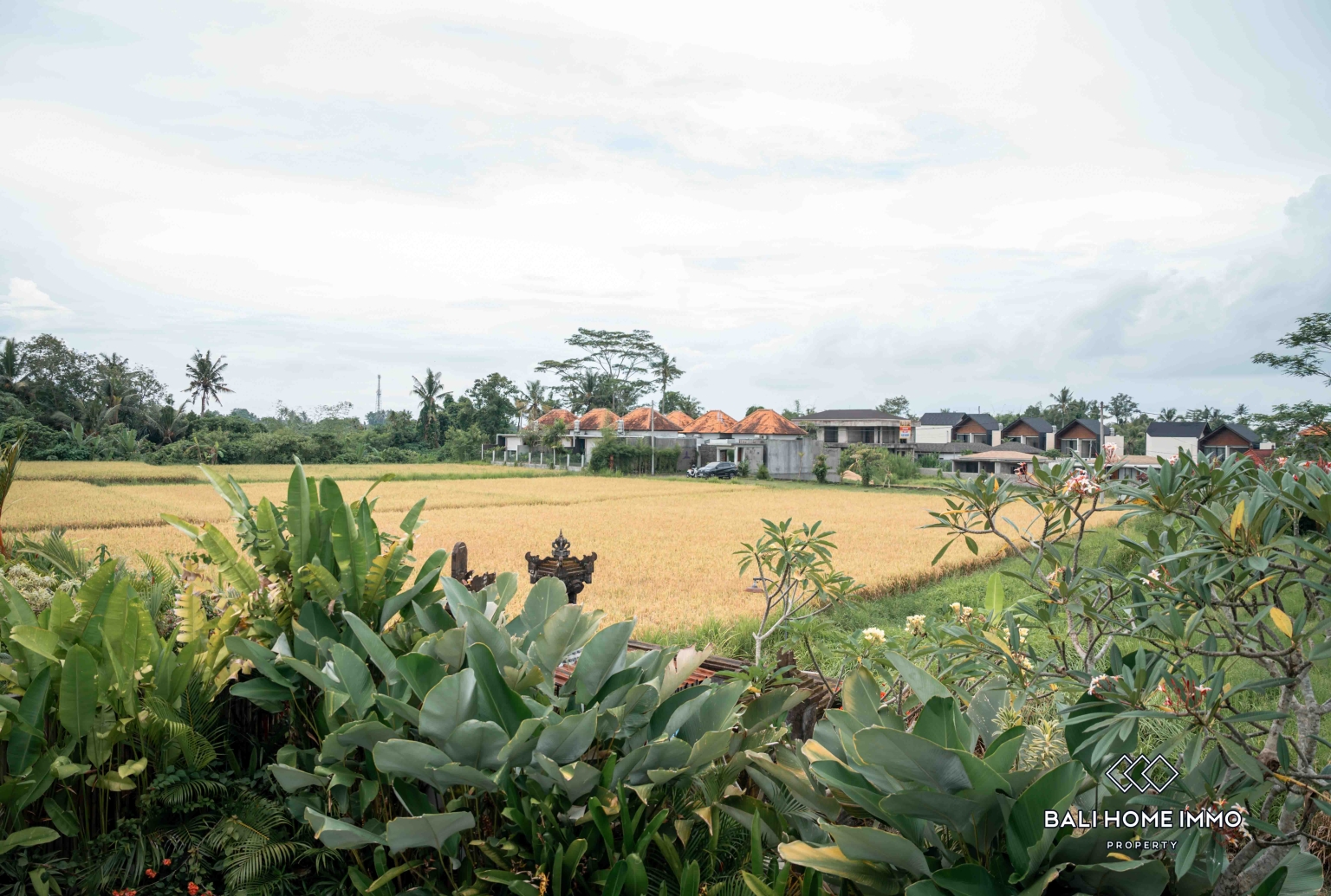 3 bedroom villa with ricefield view for sale and rent in Lodtunduh Ubud view 20
