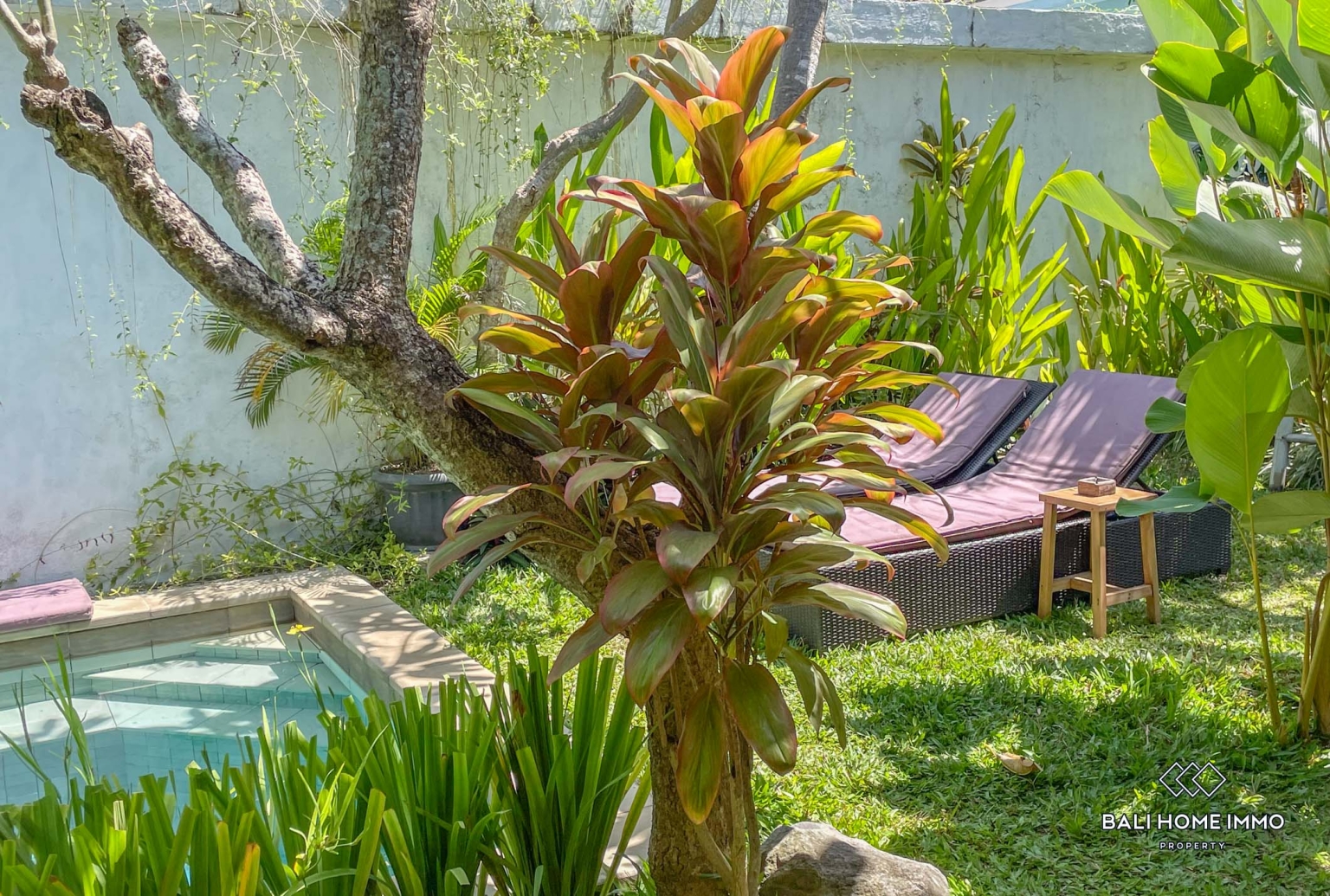 Guest house 3 kamar tidur untuk disewakan jangka panjang di Bali Canggu Berawa view 10