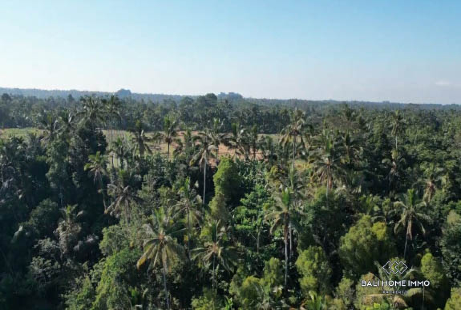 3400 m² LAND WITH UNOBSTRUCTED JUNGLE AND VALLEY VIEW FOR SALE IN PAYANGAN view 3
