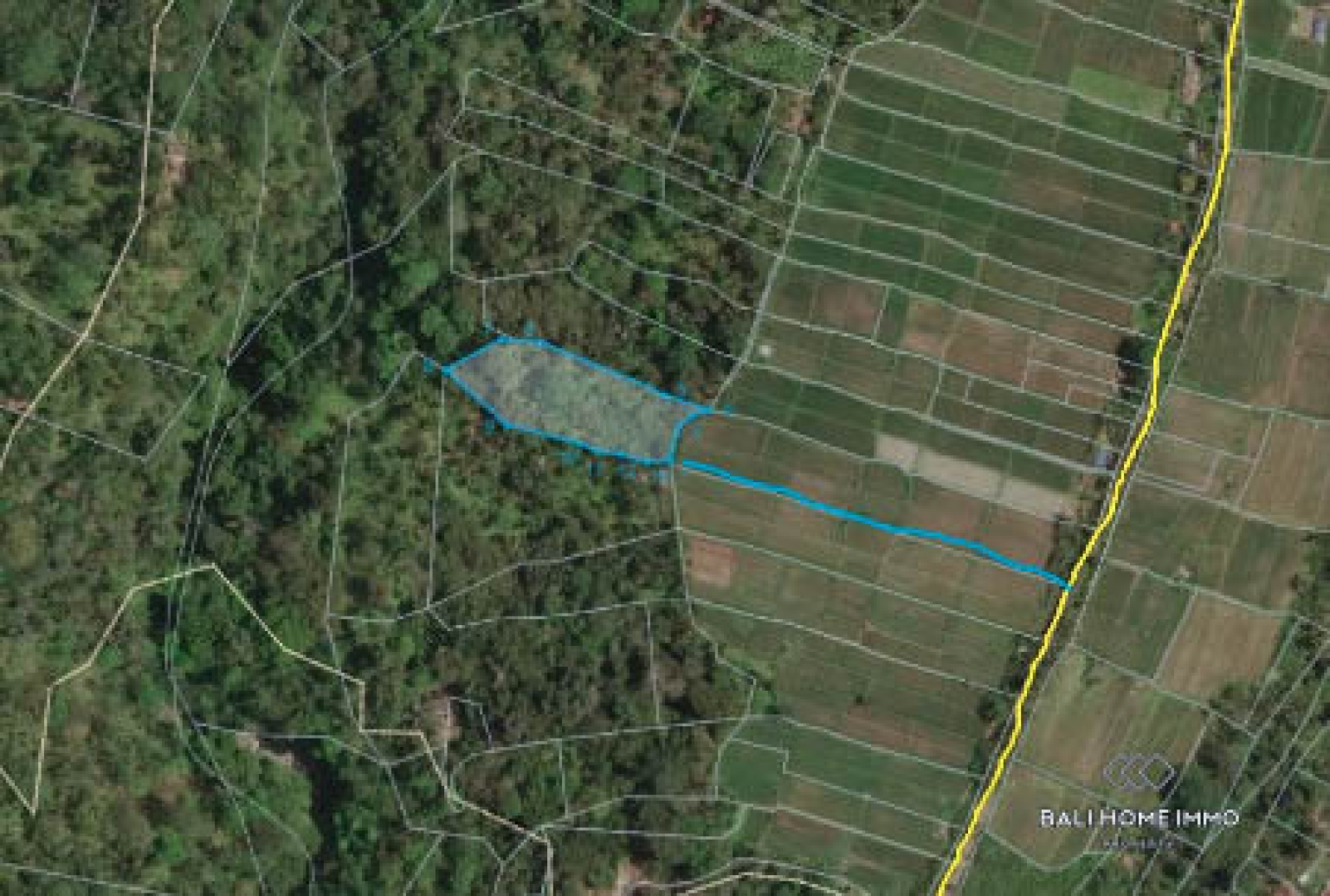 3400 m² LAND WITH UNOBSTRUCTED JUNGLE AND VALLEY VIEW FOR SALE IN PAYANGAN view 2