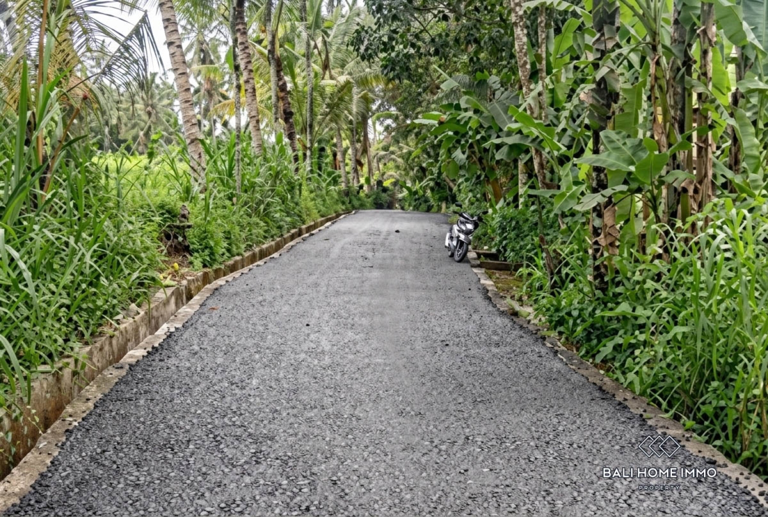 3400 m² LAND WITH UNOBSTRUCTED JUNGLE AND VALLEY VIEW FOR SALE IN PAYANGAN view 7