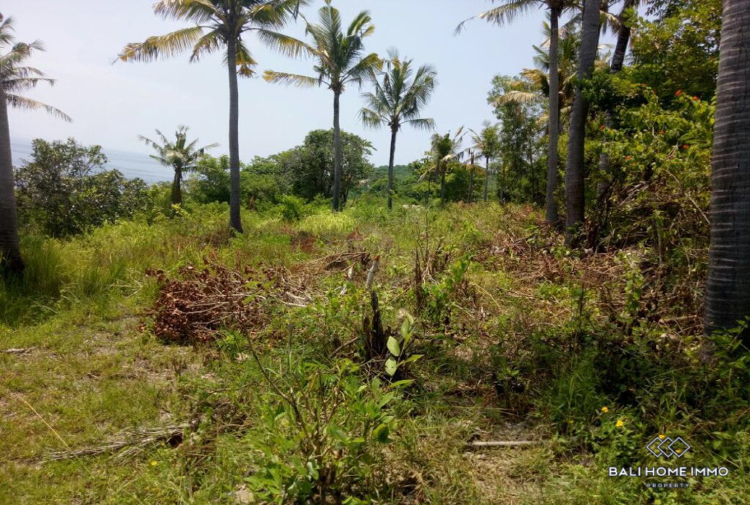 3870 m² LAND FOR SALE FREEHOLD IN NUSA PENIDA view 2