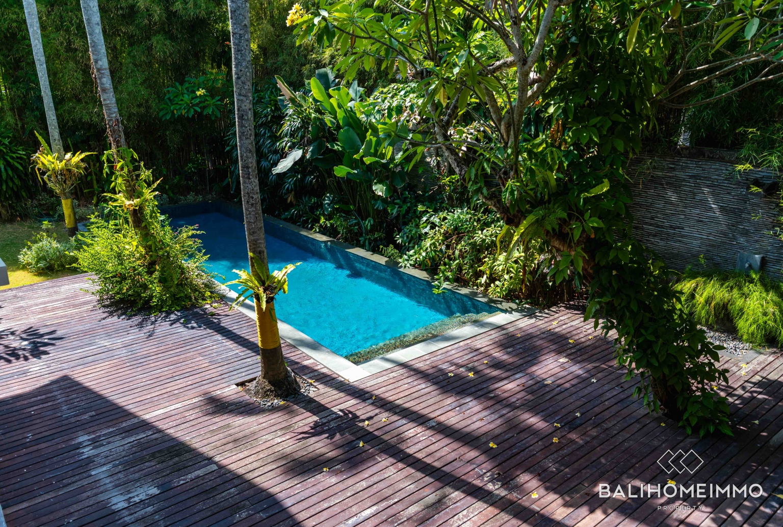 4 Bedroom Family Villa for Rent in Umalas view 5