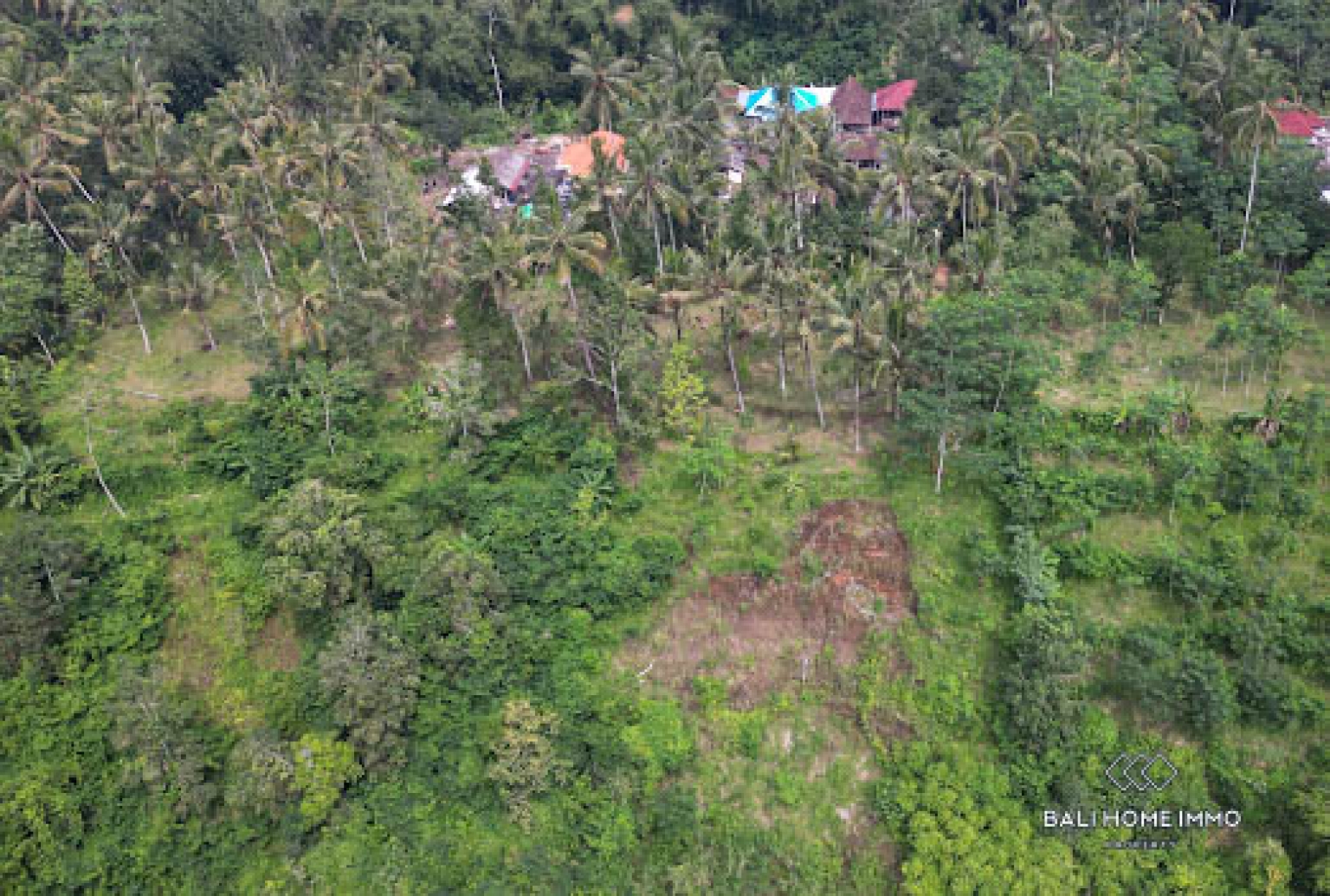 50 are land with jungle and Agung mountain view for sale in Karangasem view 9