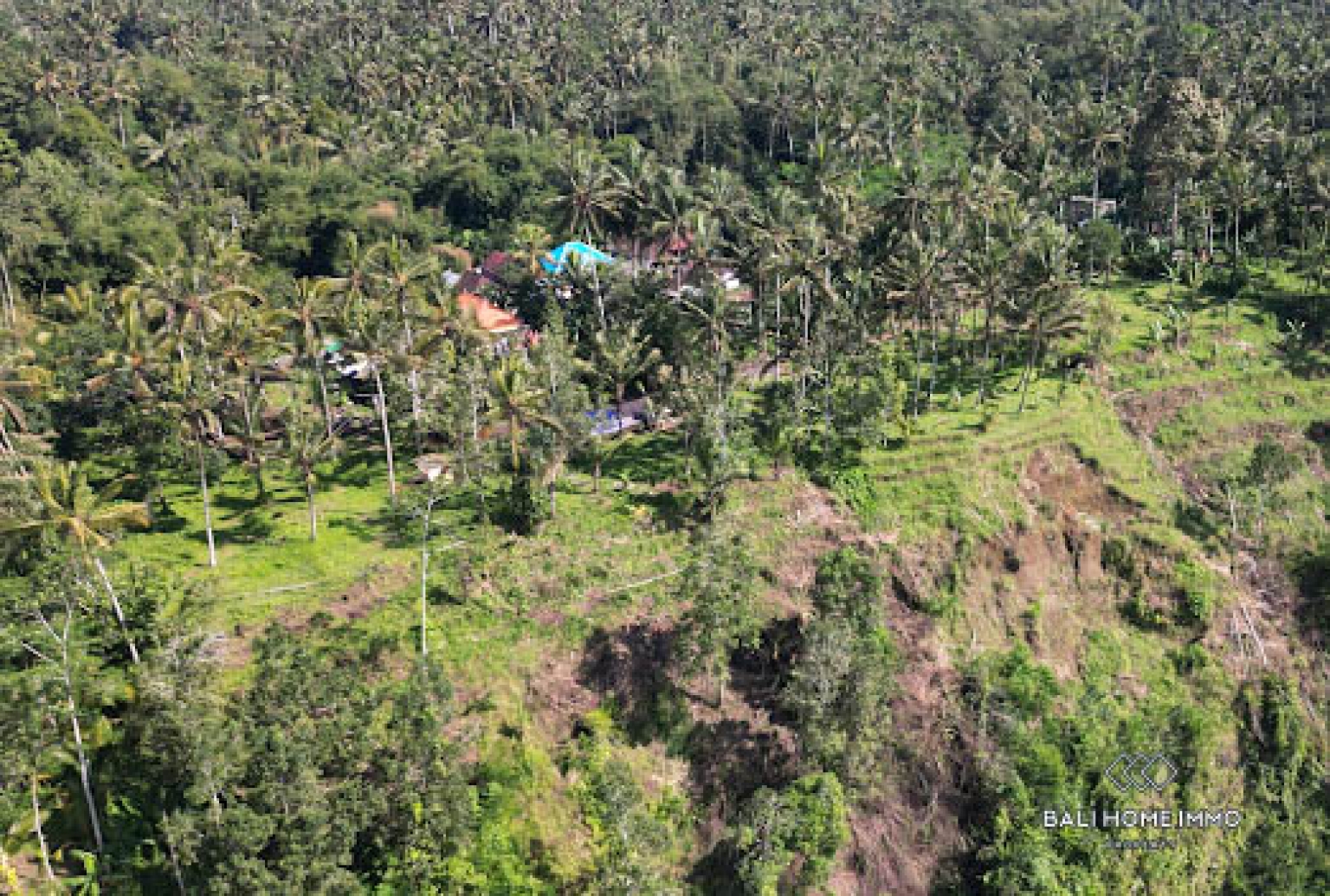50 are land with jungle and Agung mountain view for sale in Karangasem view 7