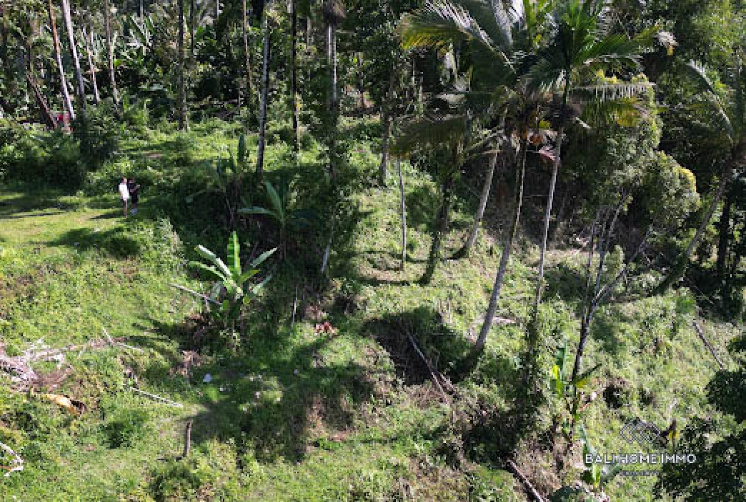 50 are land with jungle and Agung mountain view for sale in Karangasem view 4