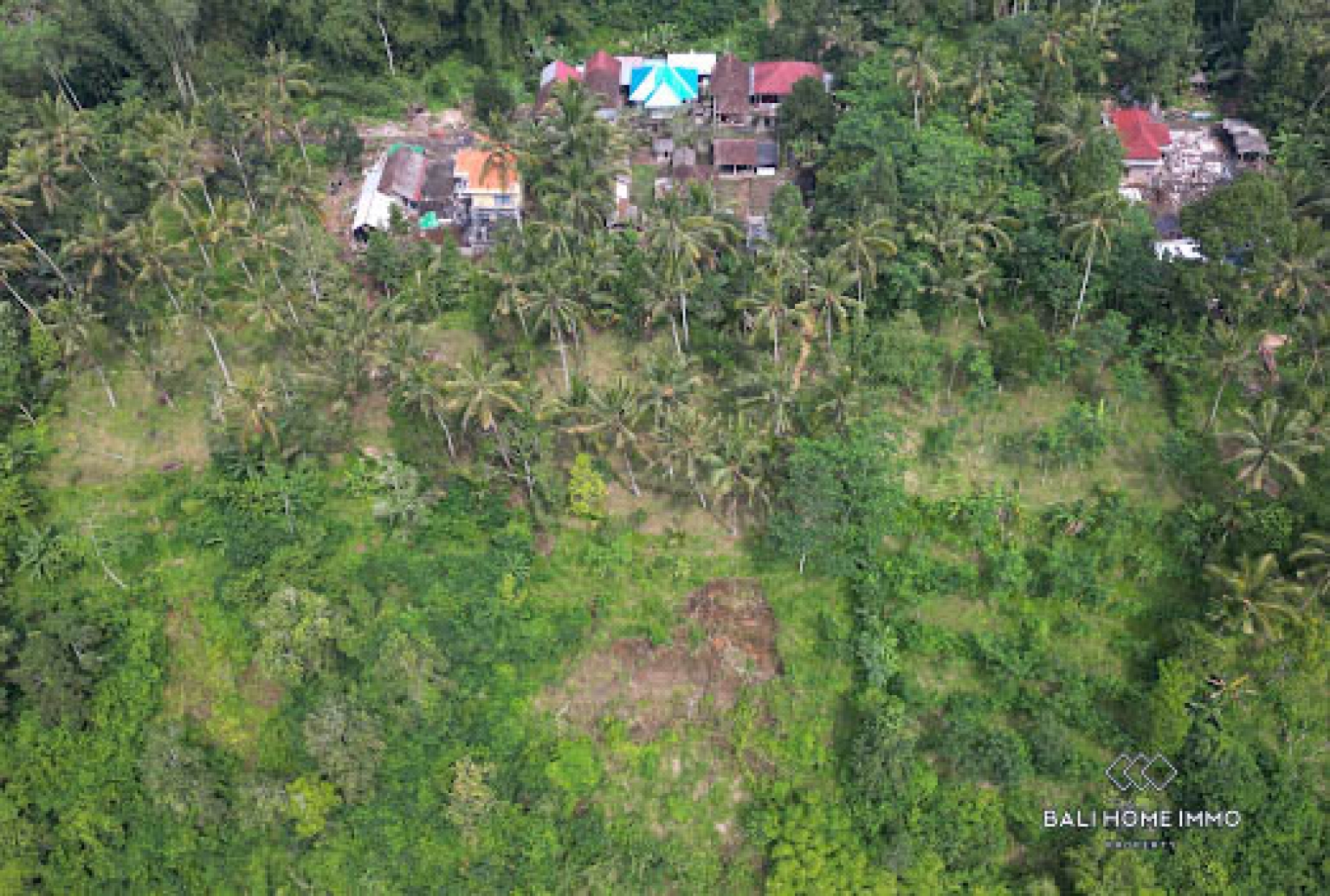 50 are land with jungle and Agung mountain view for sale in Karangasem view 8