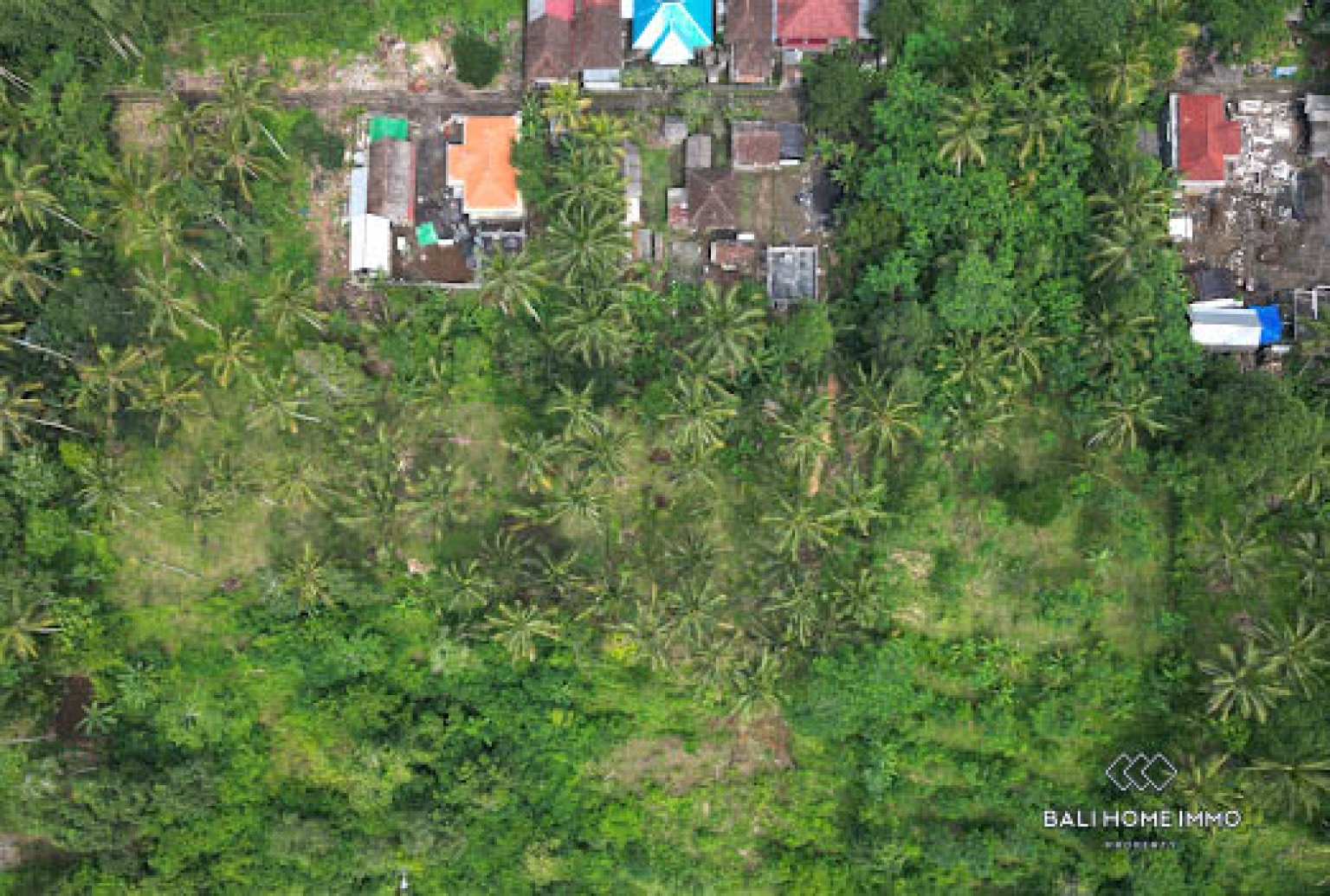 50 are land with jungle and Agung mountain view for sale in Karangasem view 2