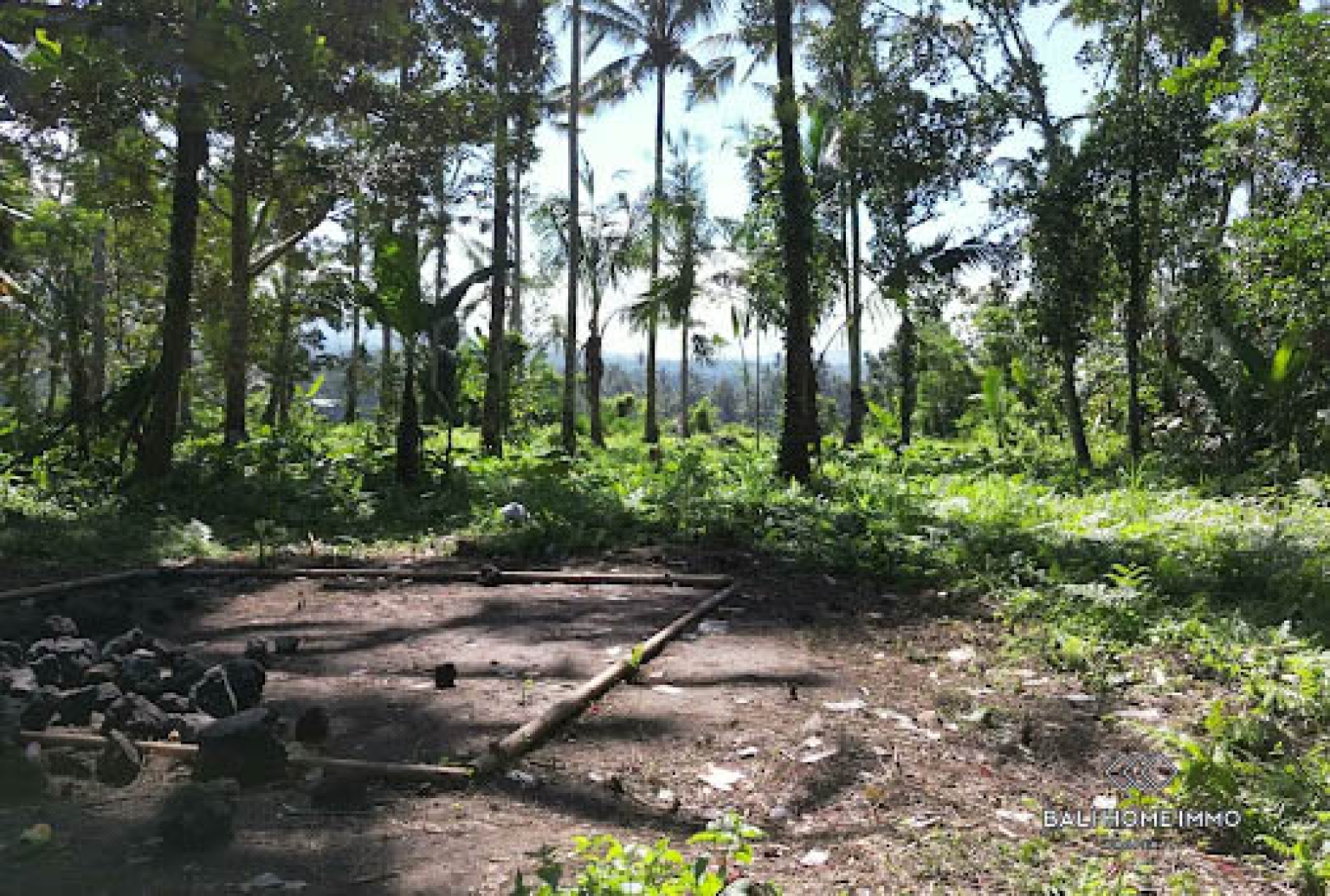 50 are land with jungle and Agung mountain view for sale in Karangasem view 3