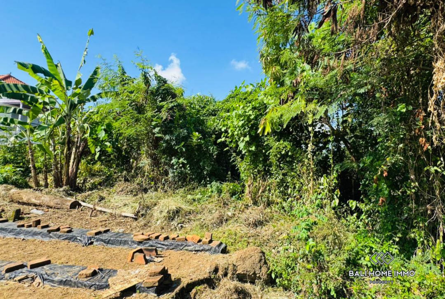 500 m² land with ricefield view for sale in Ubud view 6