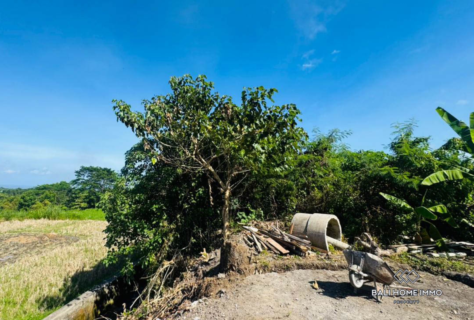 500 m² land with ricefield view for sale in Ubud view 8