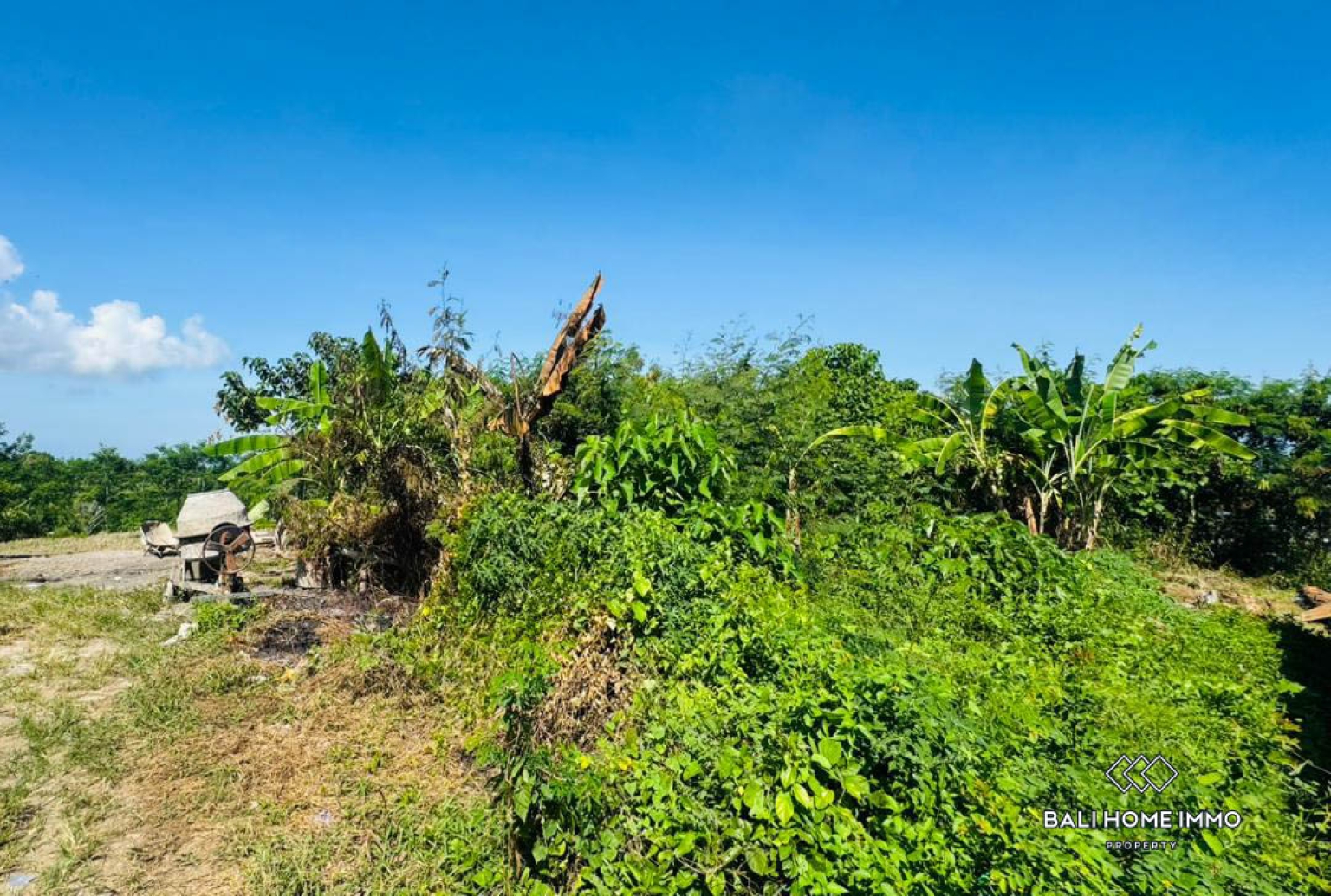500 m² land with ricefield view for sale in Ubud view 3