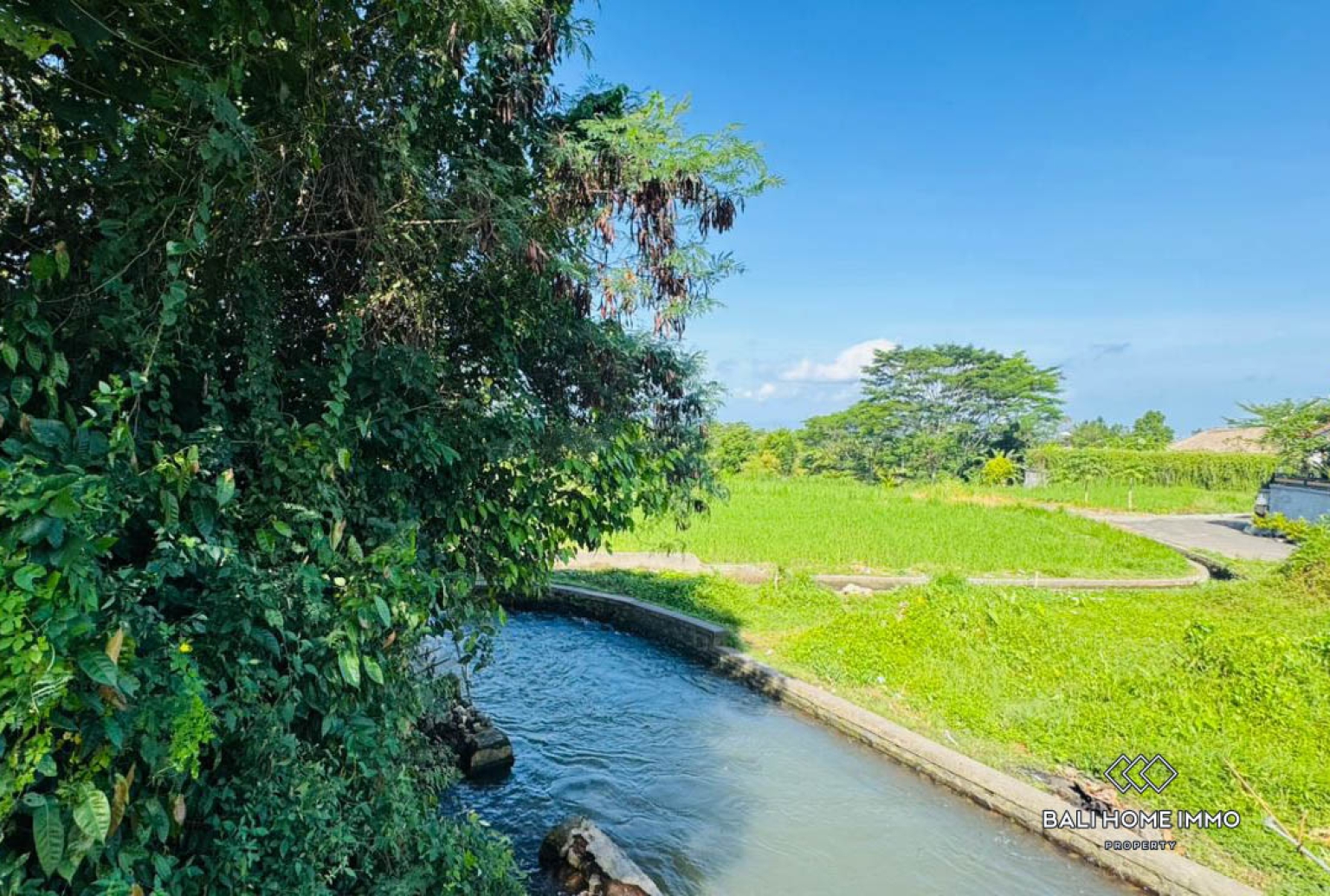 500 m² land with ricefield view for sale in Ubud view 11