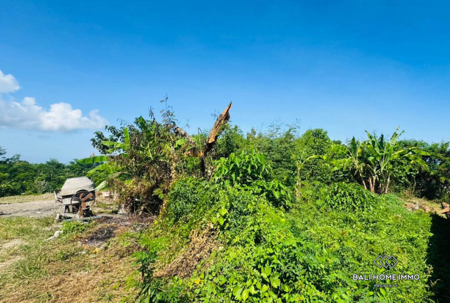 500 m² land with ricefield view for sale in Ubud view 5