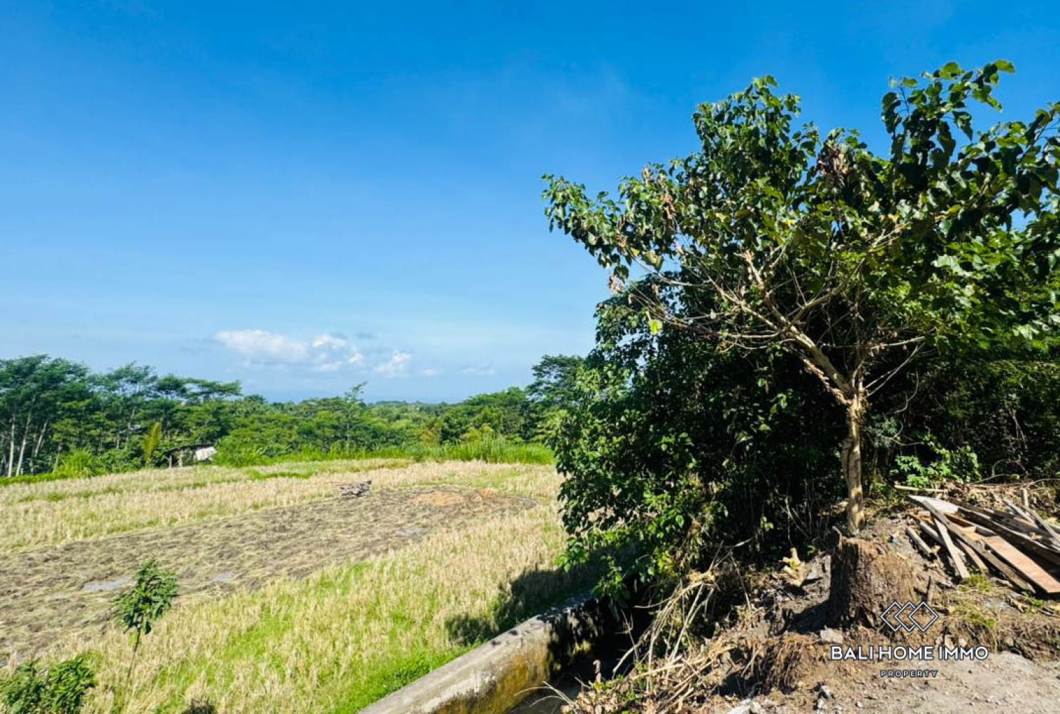 500 m² land with ricefield view for sale in Ubud view 2