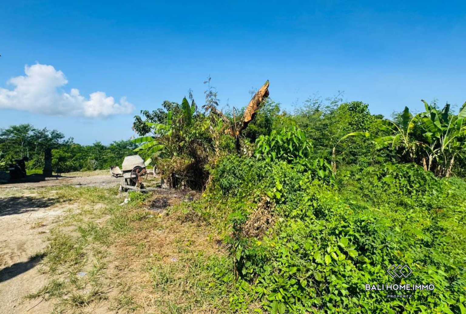 500 m² land with ricefield view for sale in Ubud view 4